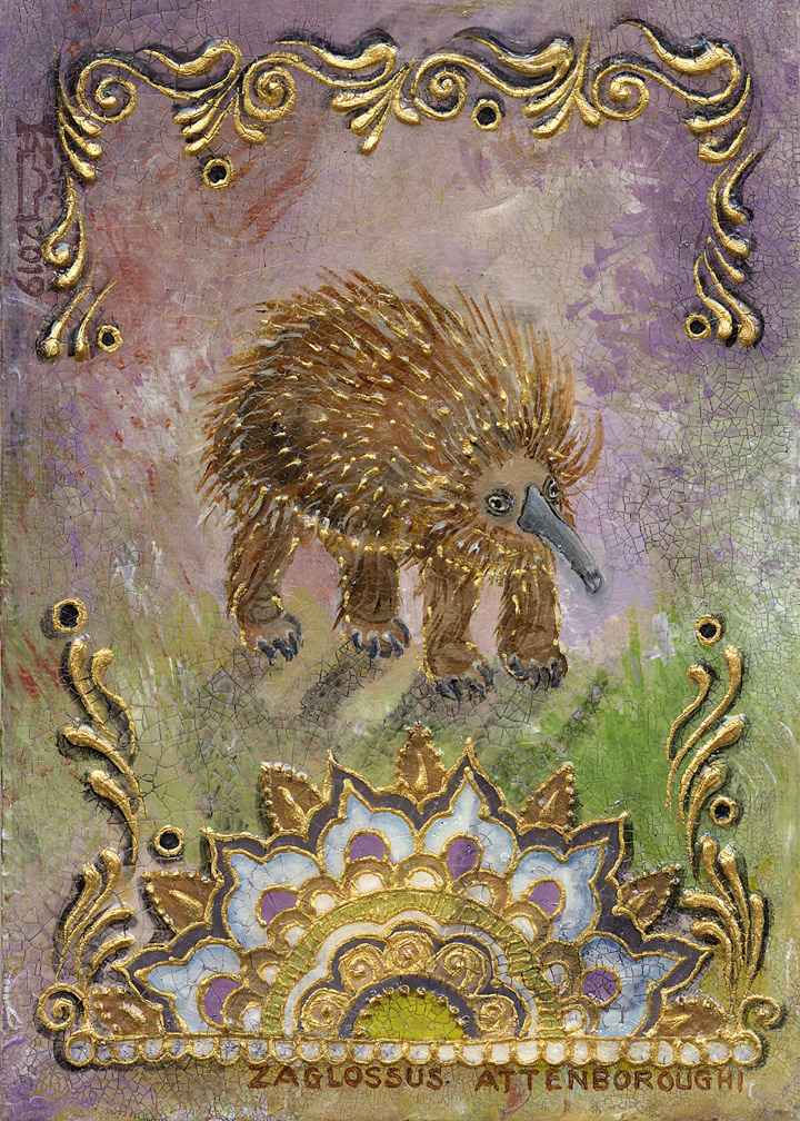 Long-Beaked Echidna