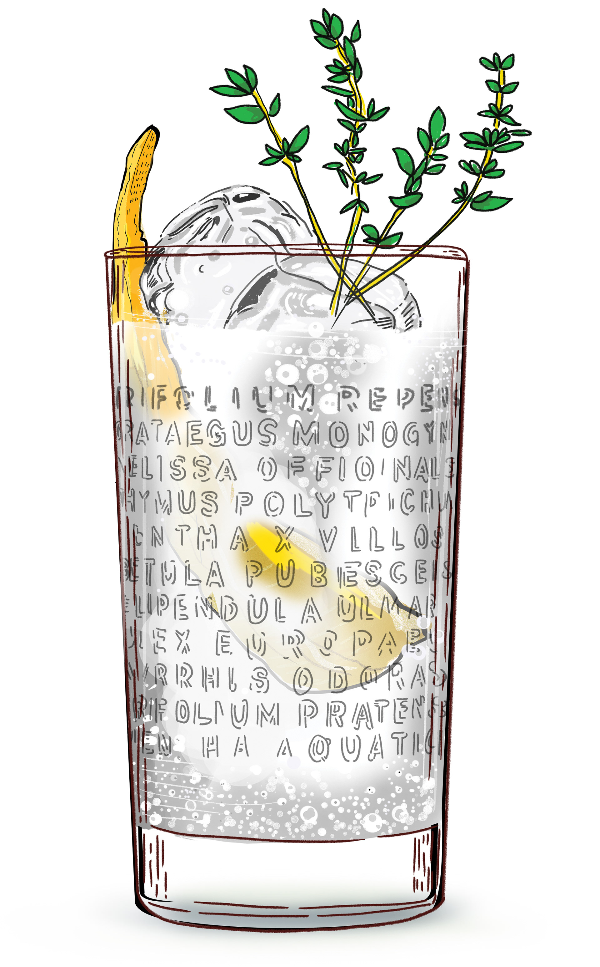 The Botanist Highball Glass