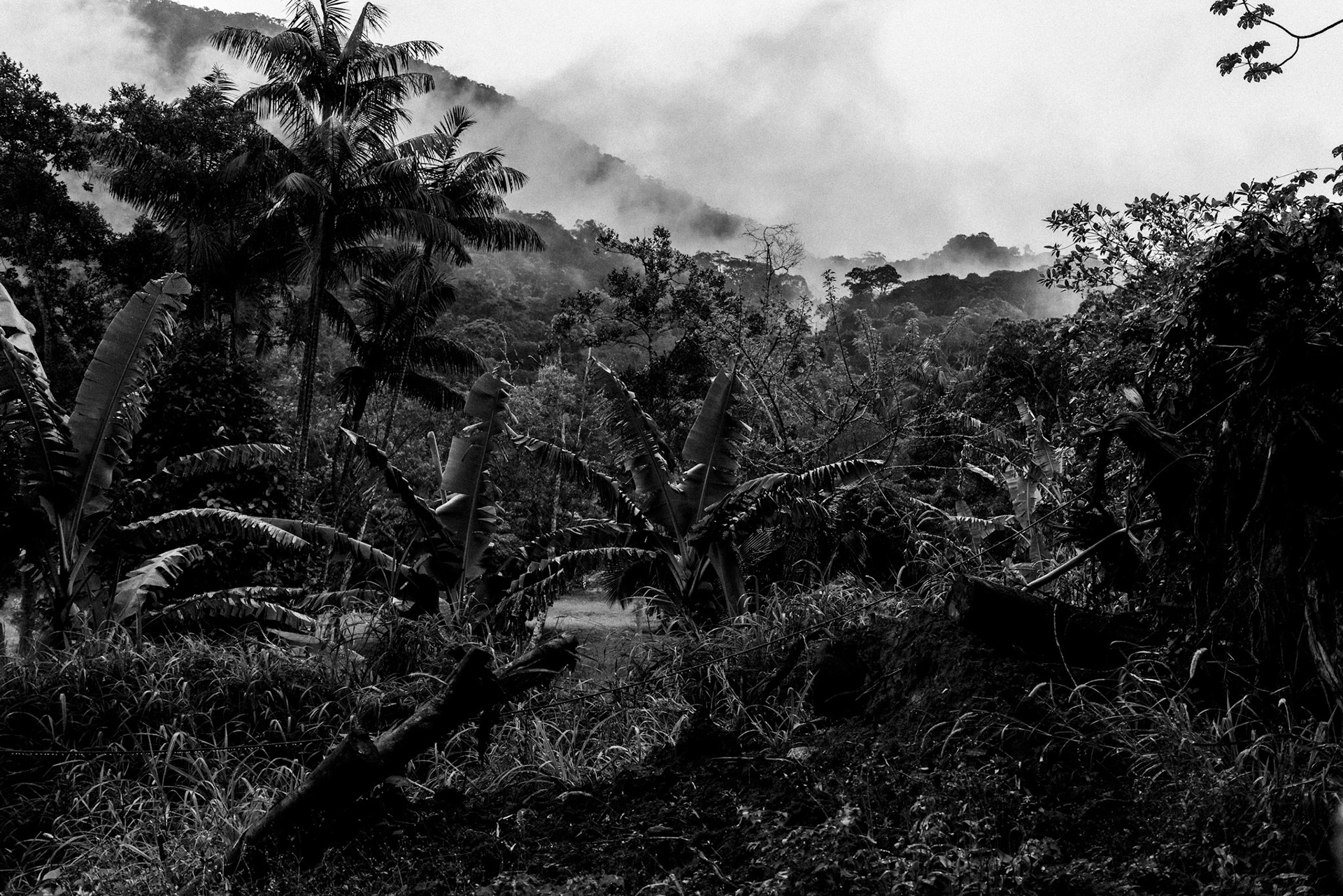 Texturas de Trindade | 2/10