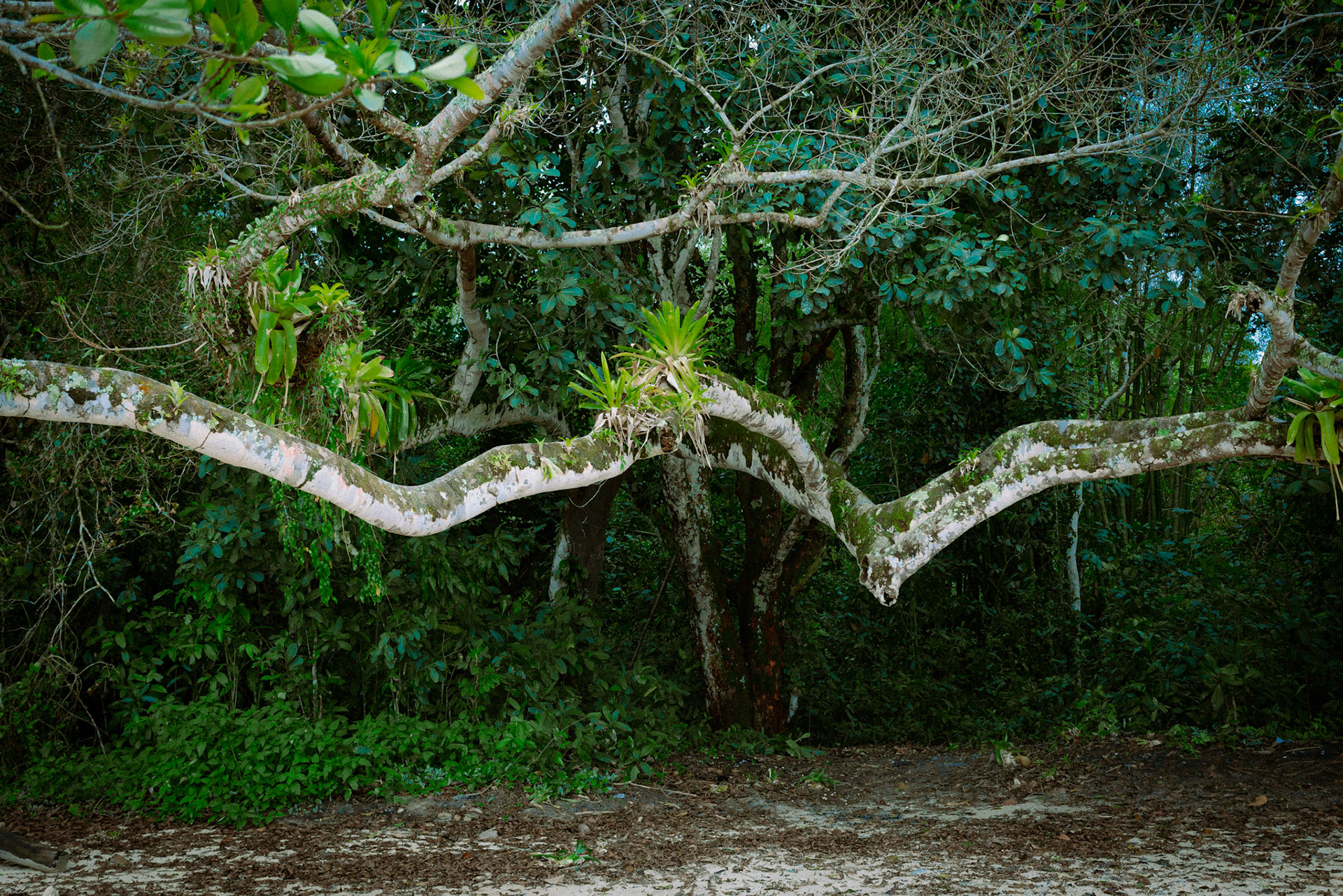 São Gonçalinho | 2/10