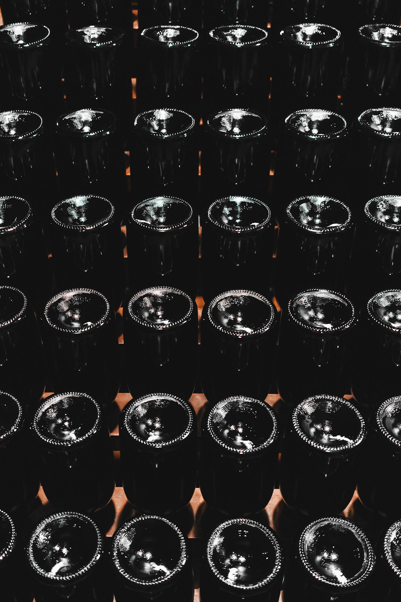 Vino 2 | 1/10