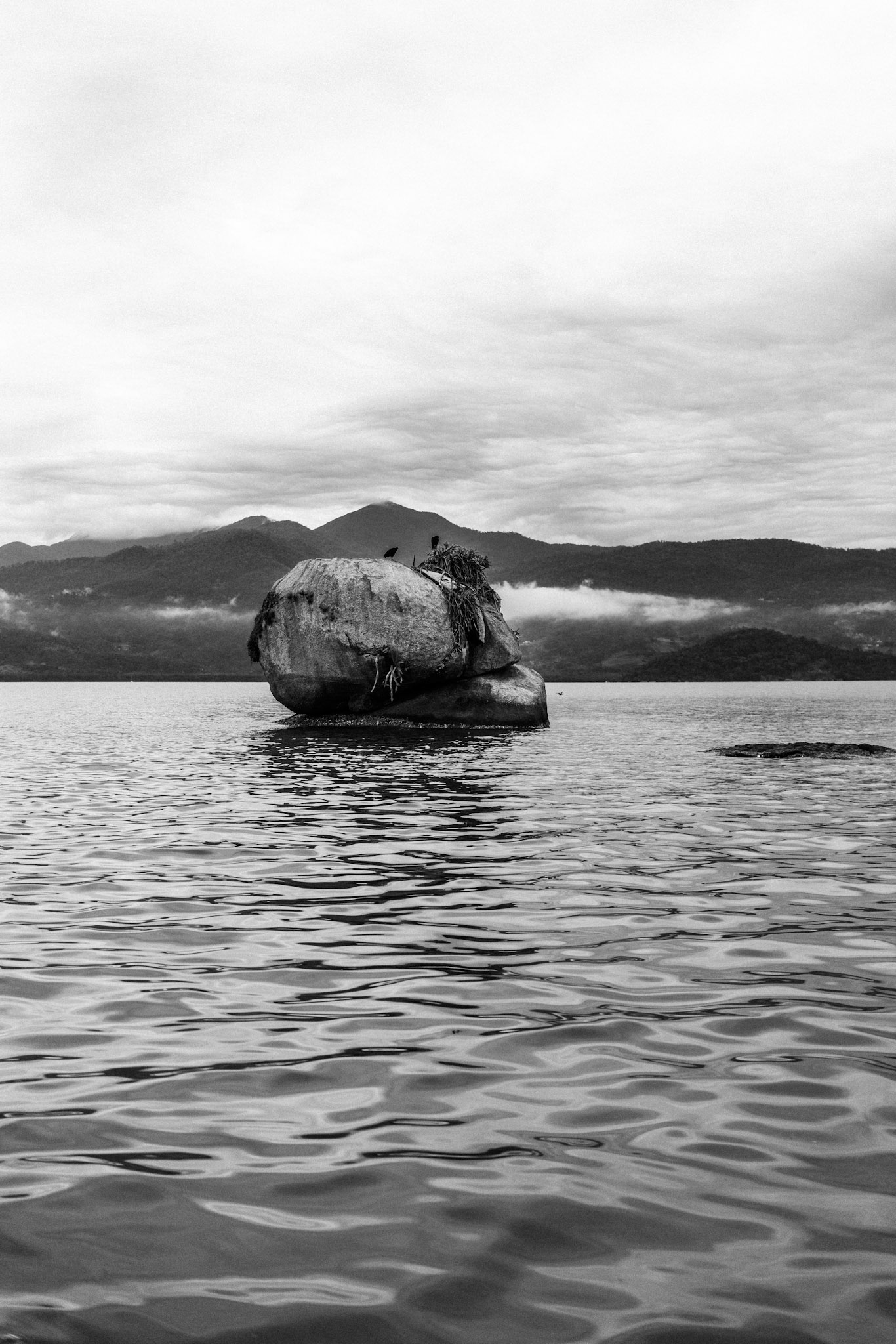 Ilha dos Pássaros | 2/10