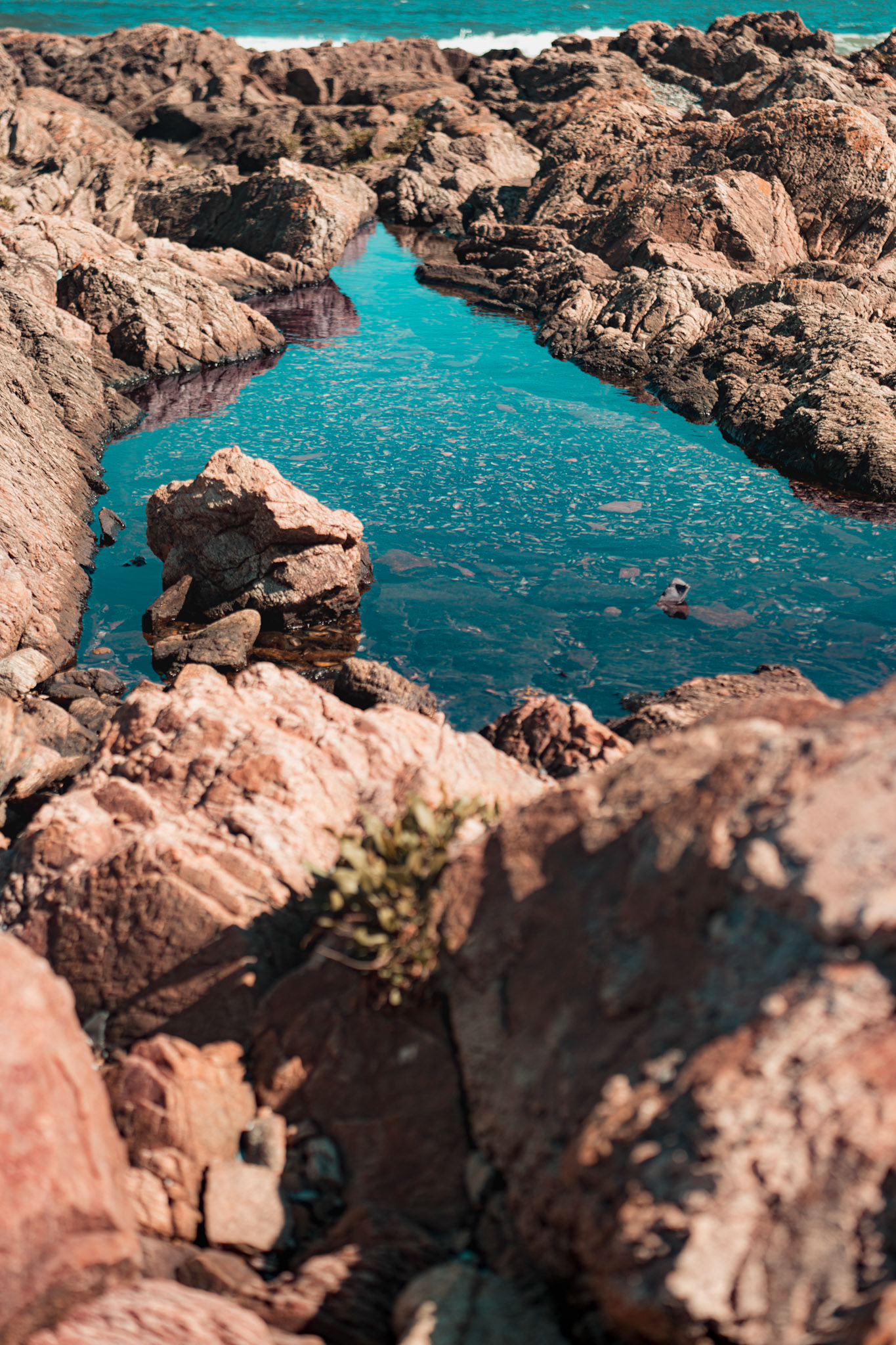 Punta 3 | 1/10