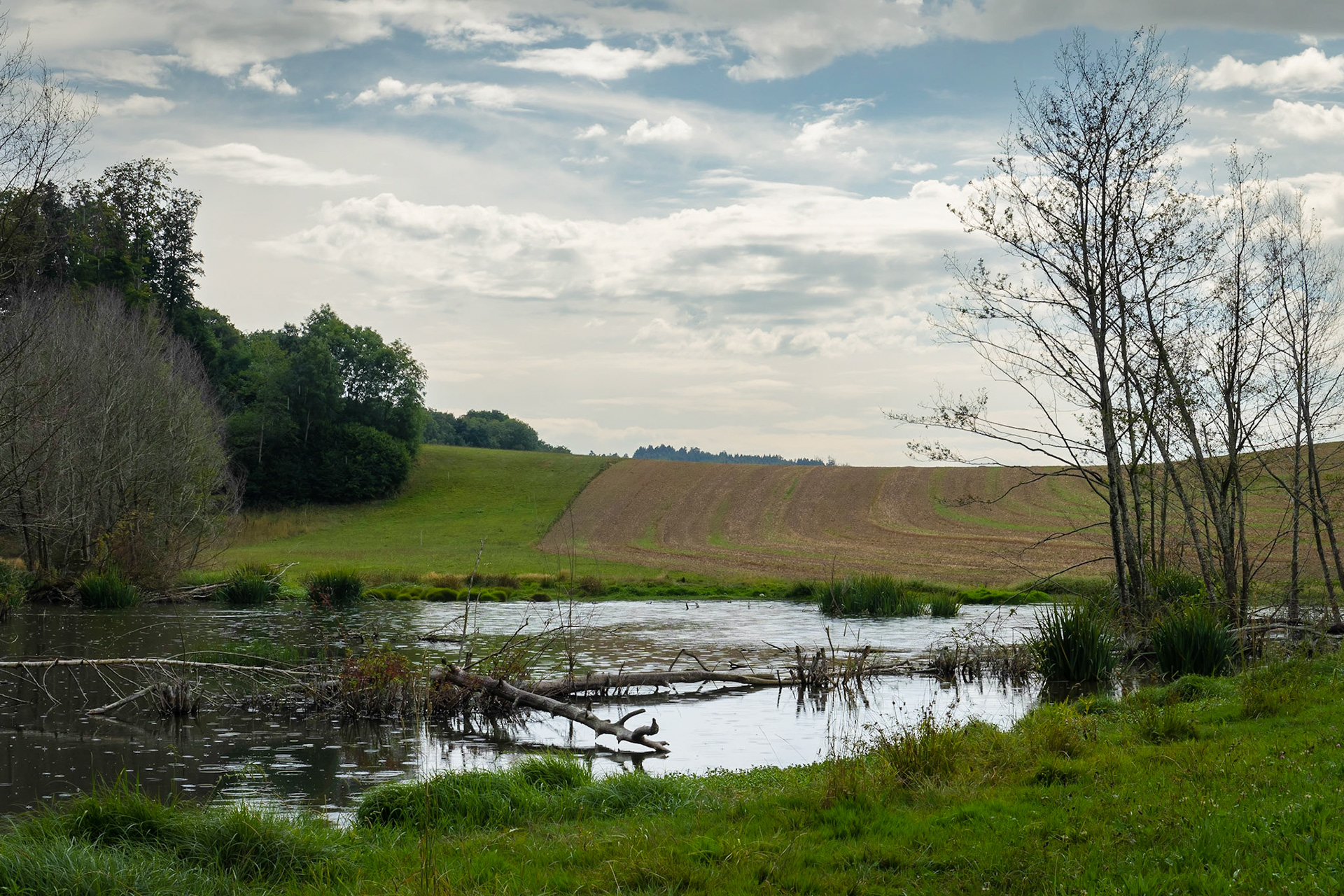 L'étang sous la pluie