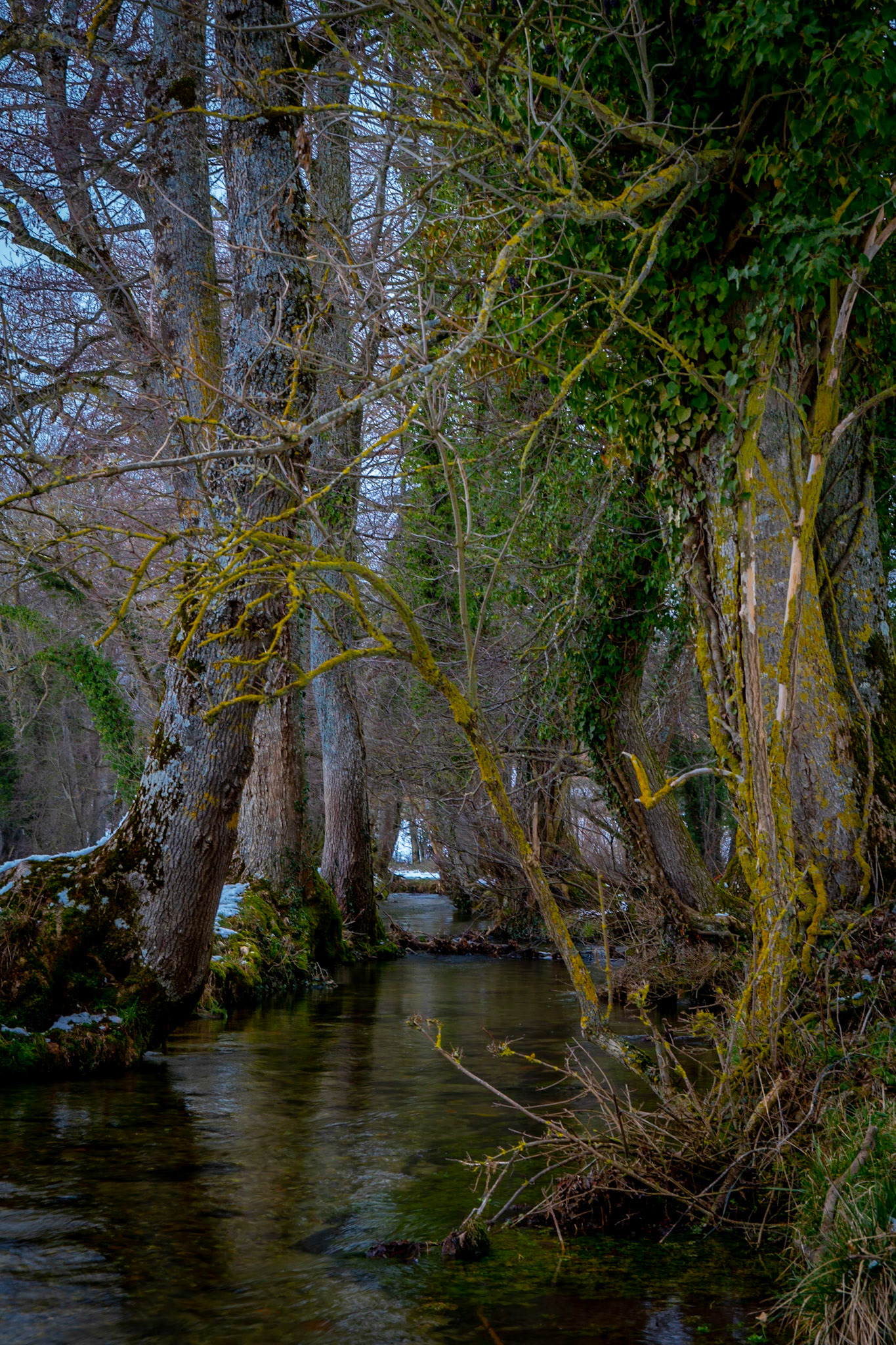 En amont de Cuarnens