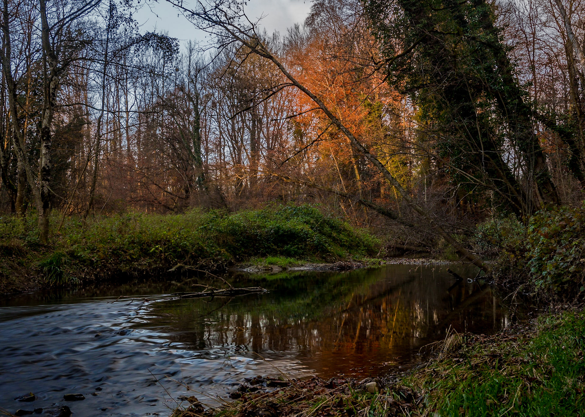 Dernier rayon de soleil au bord de la Venoge