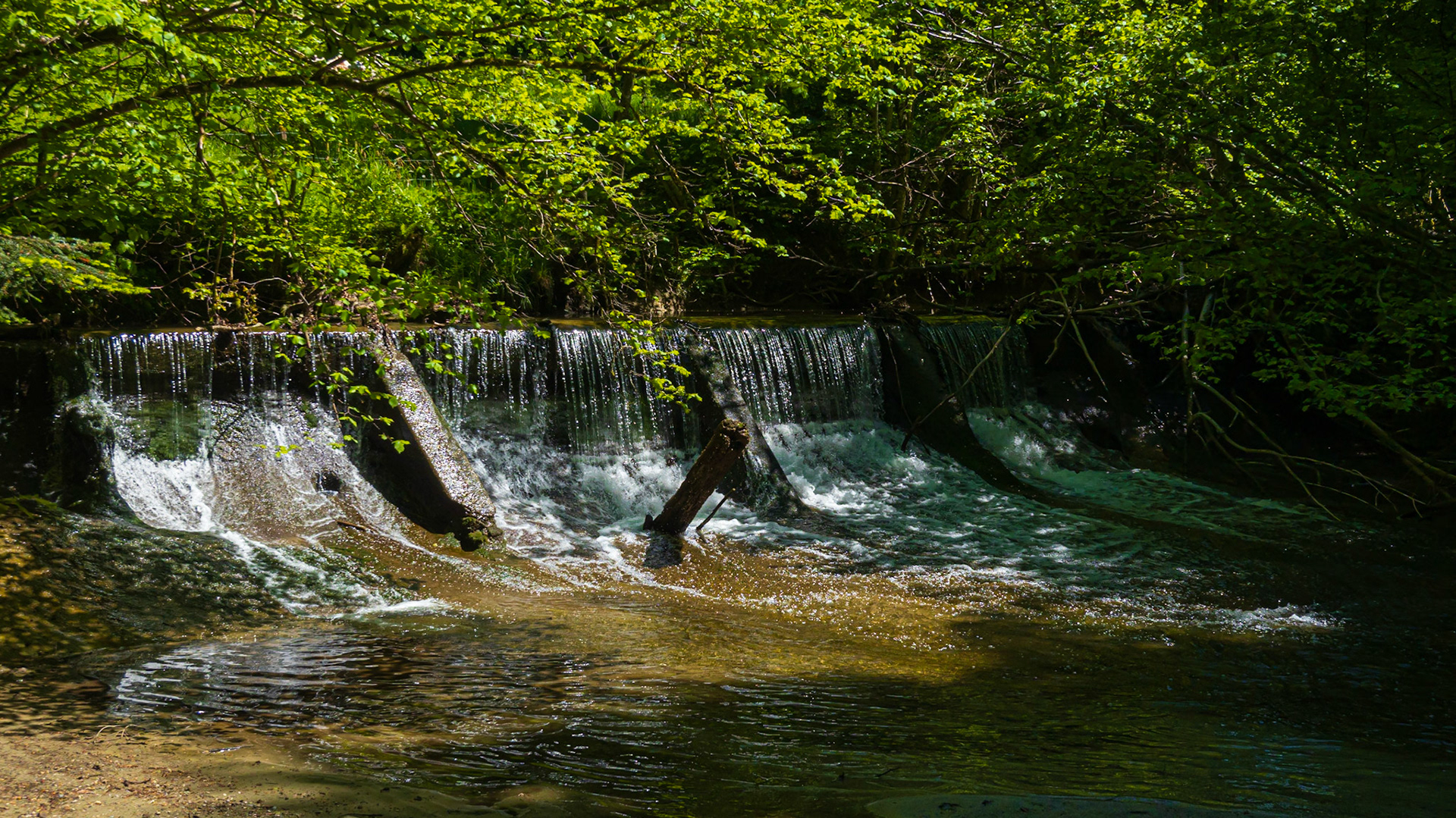 Cascade sur le Talent