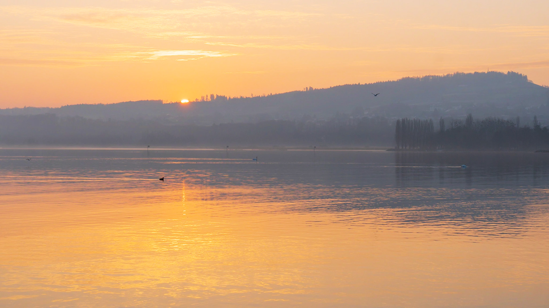 Lever de soleil à Yverdon II