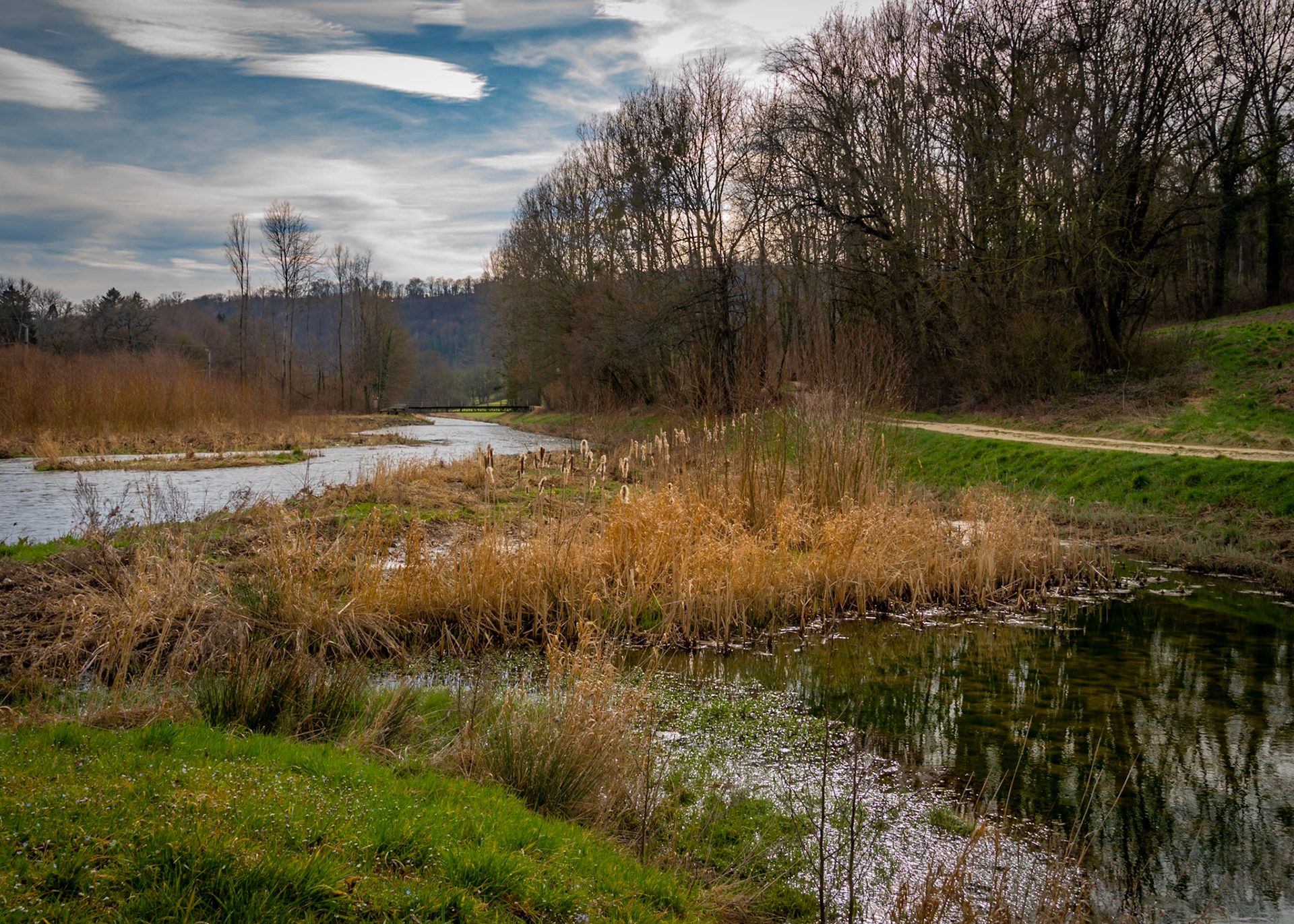 La Venoge et son ncen lit