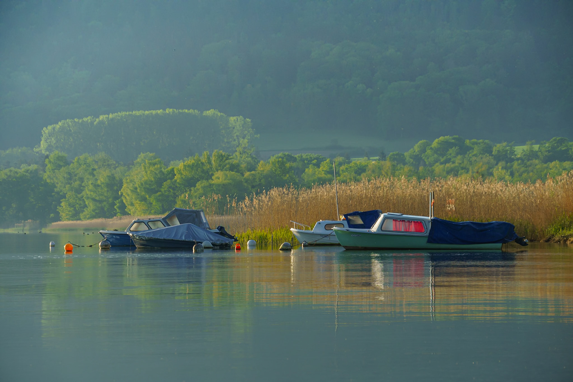 Barques et Grande Cariçaie