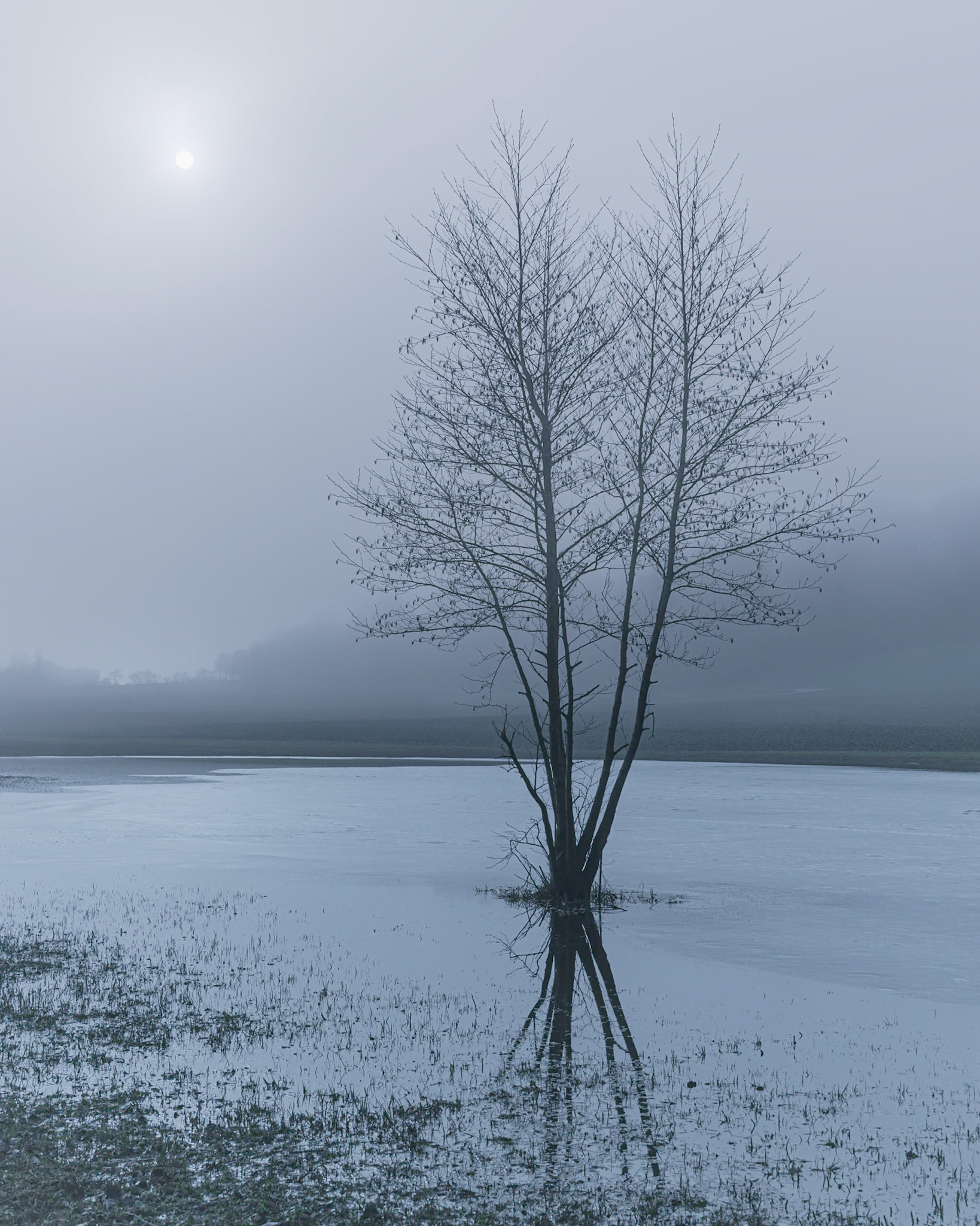 Brouillard sur le lac du Coffy II