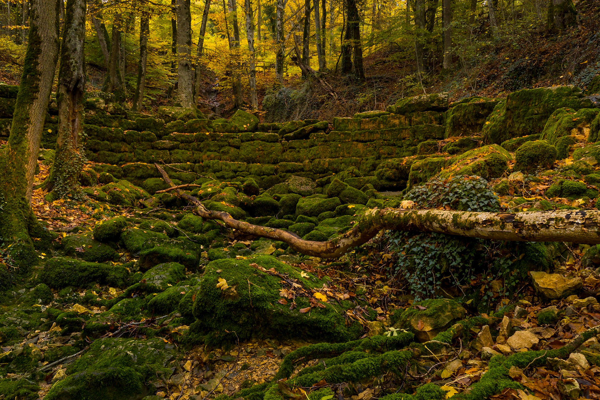 En aval du Puit, source de la Venoge, construction datant probablement de l'éoque romaine