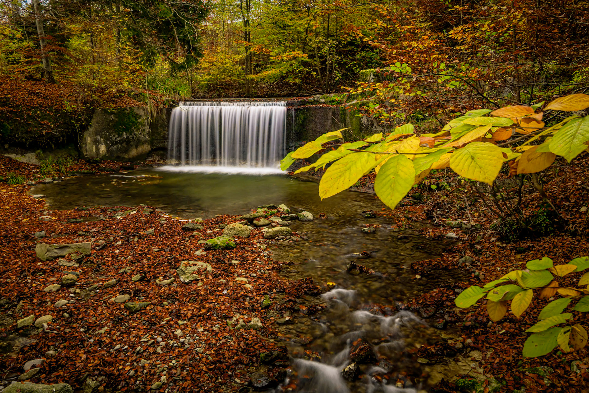 Cascade sur le Talent
