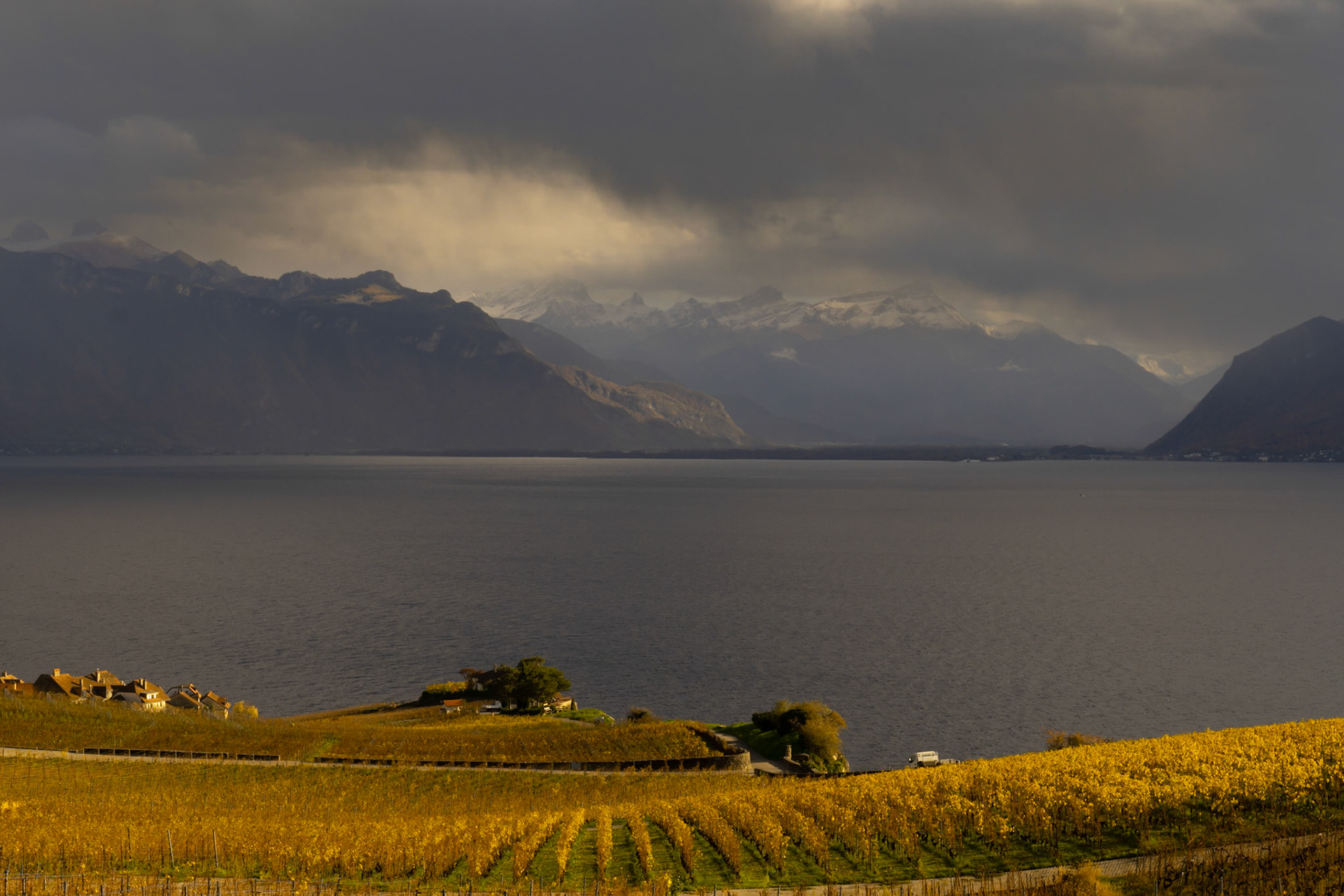 Vigne et Léman