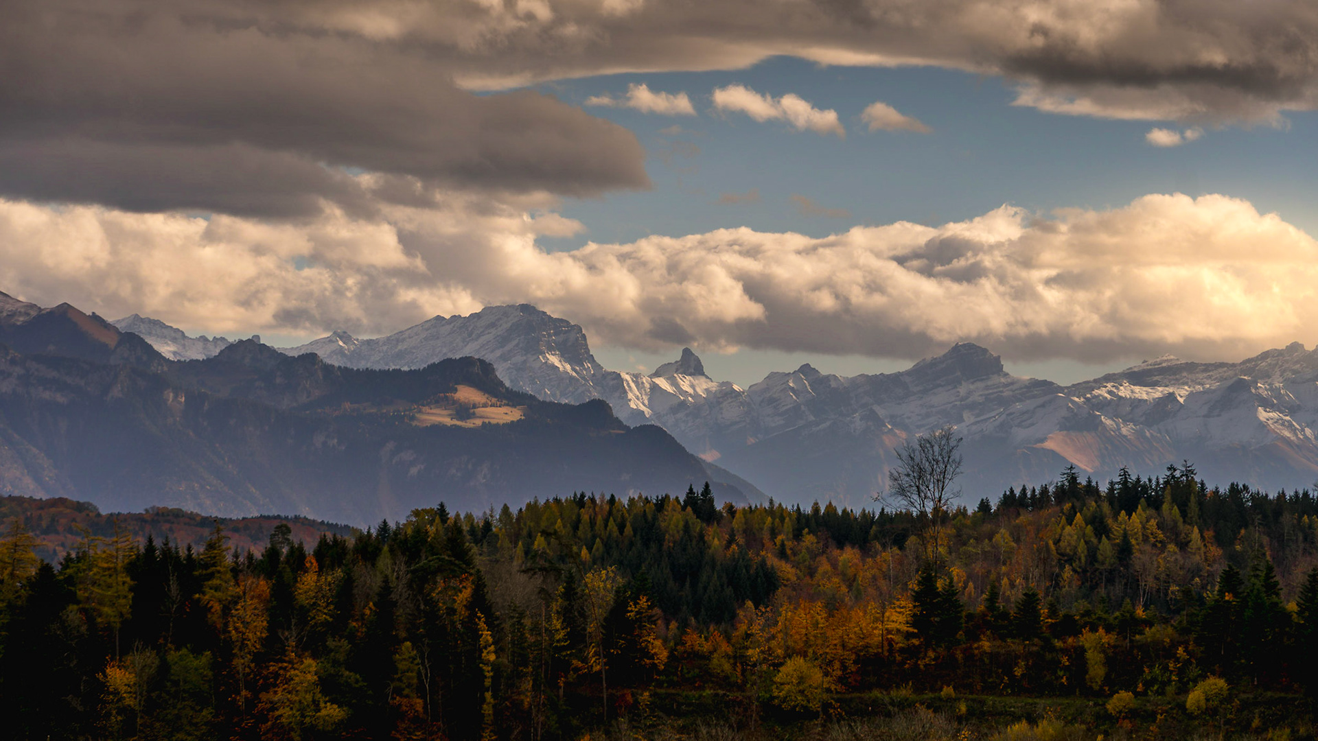 Les Alpes depuis SAvigny