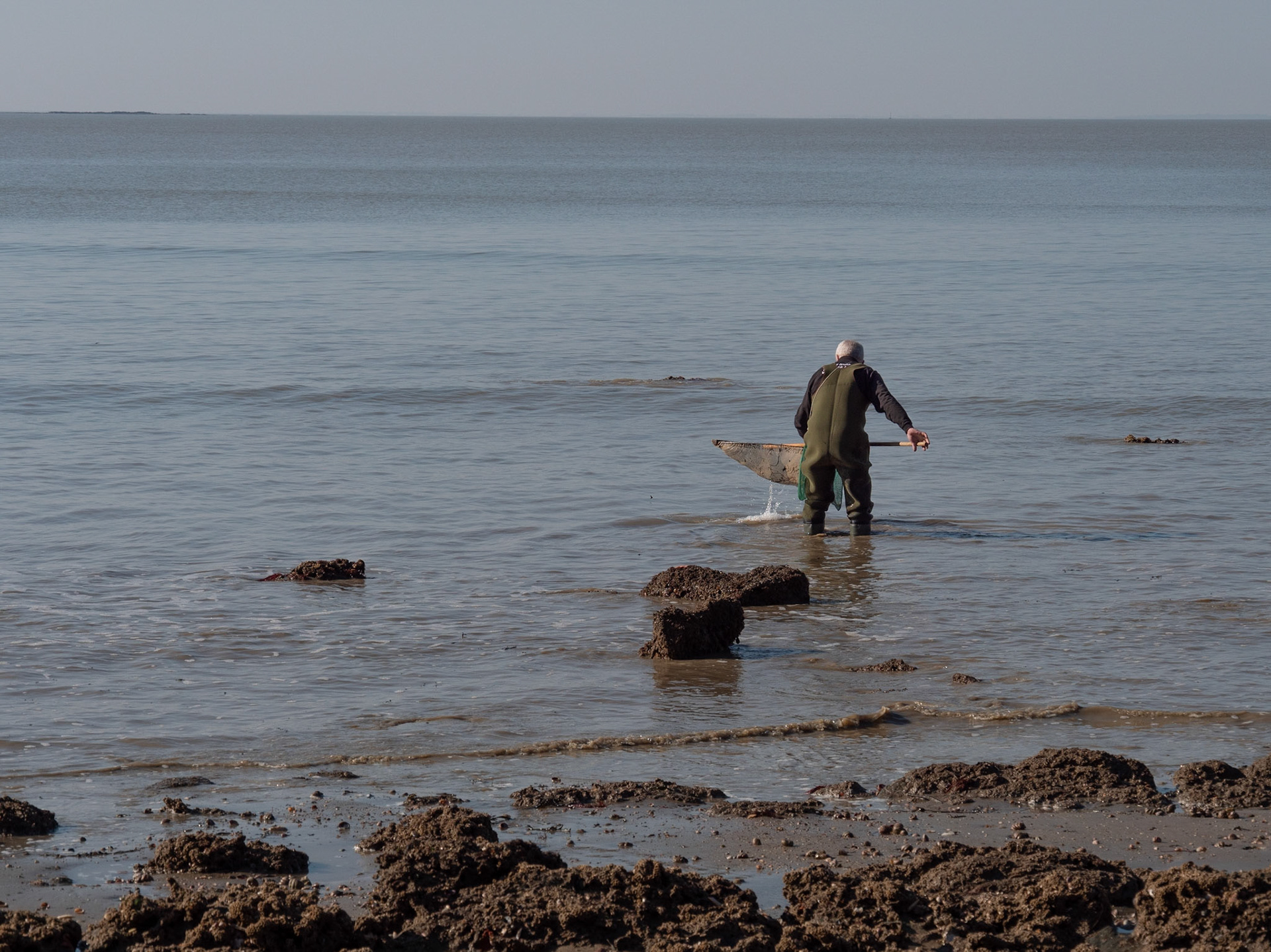 Pêche aux crevettes