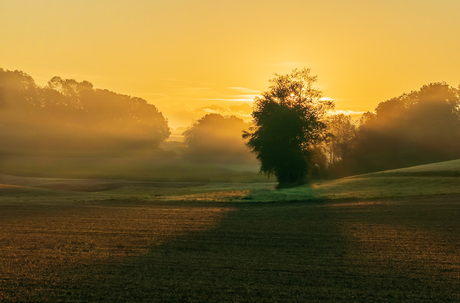 Lever de soleil dans le Jorat