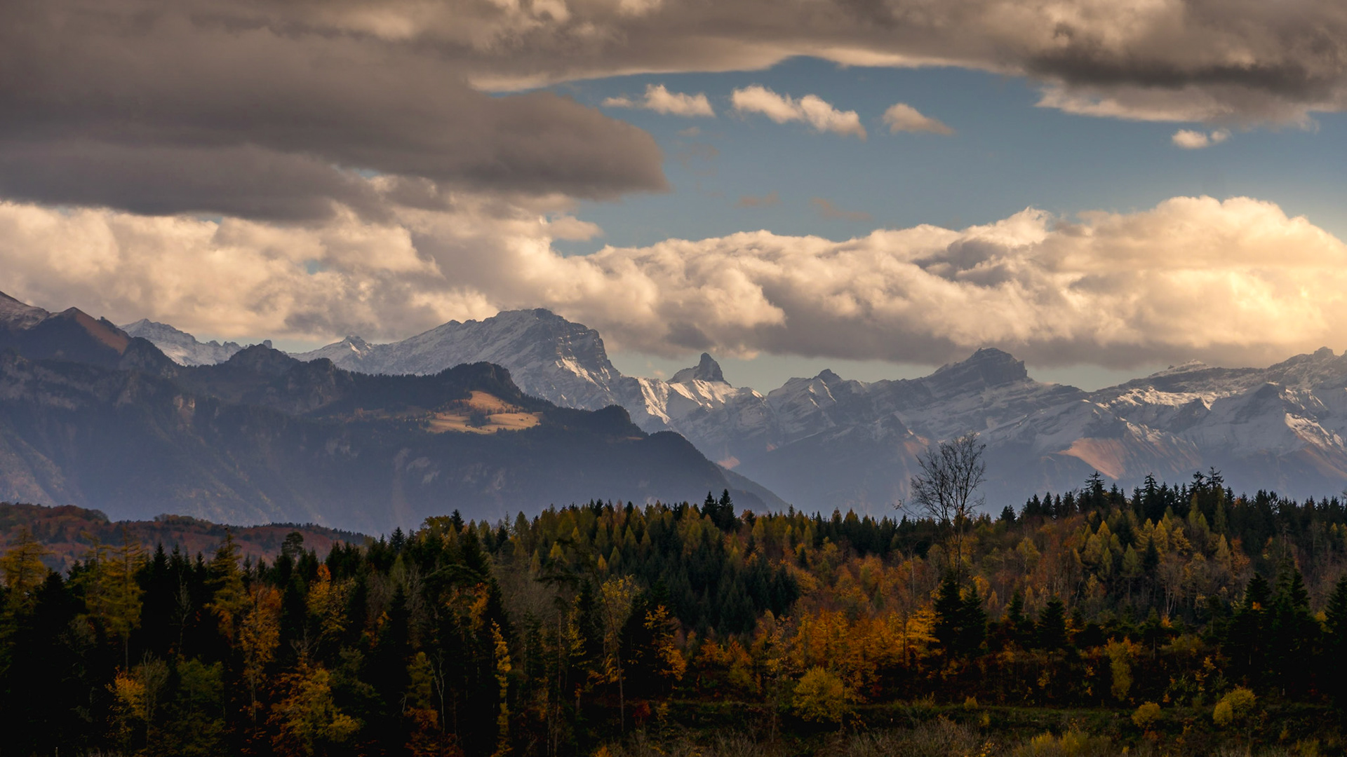 Les Alpes depuis Savigny