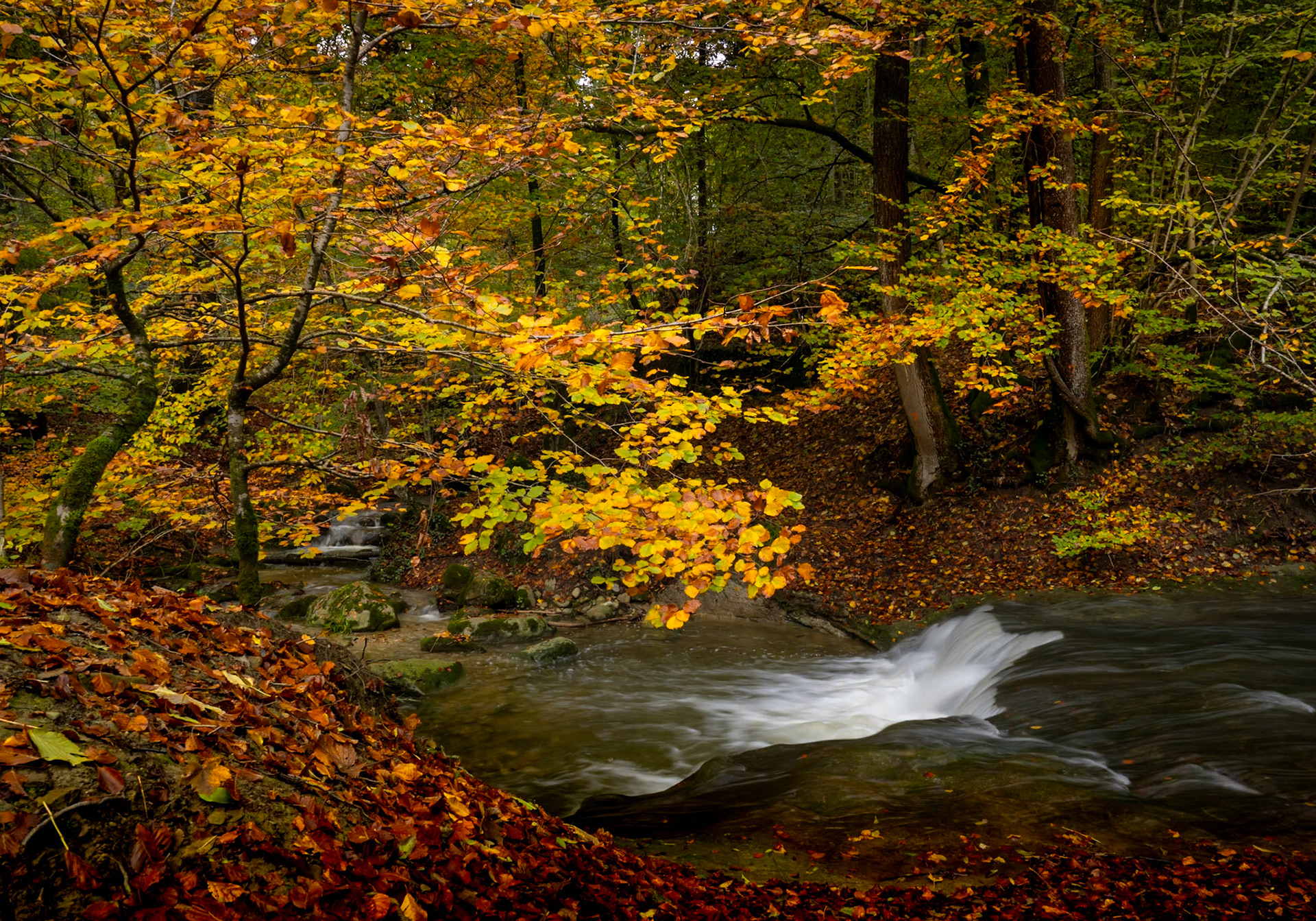 La Mèbre aux couleurs d'automne
