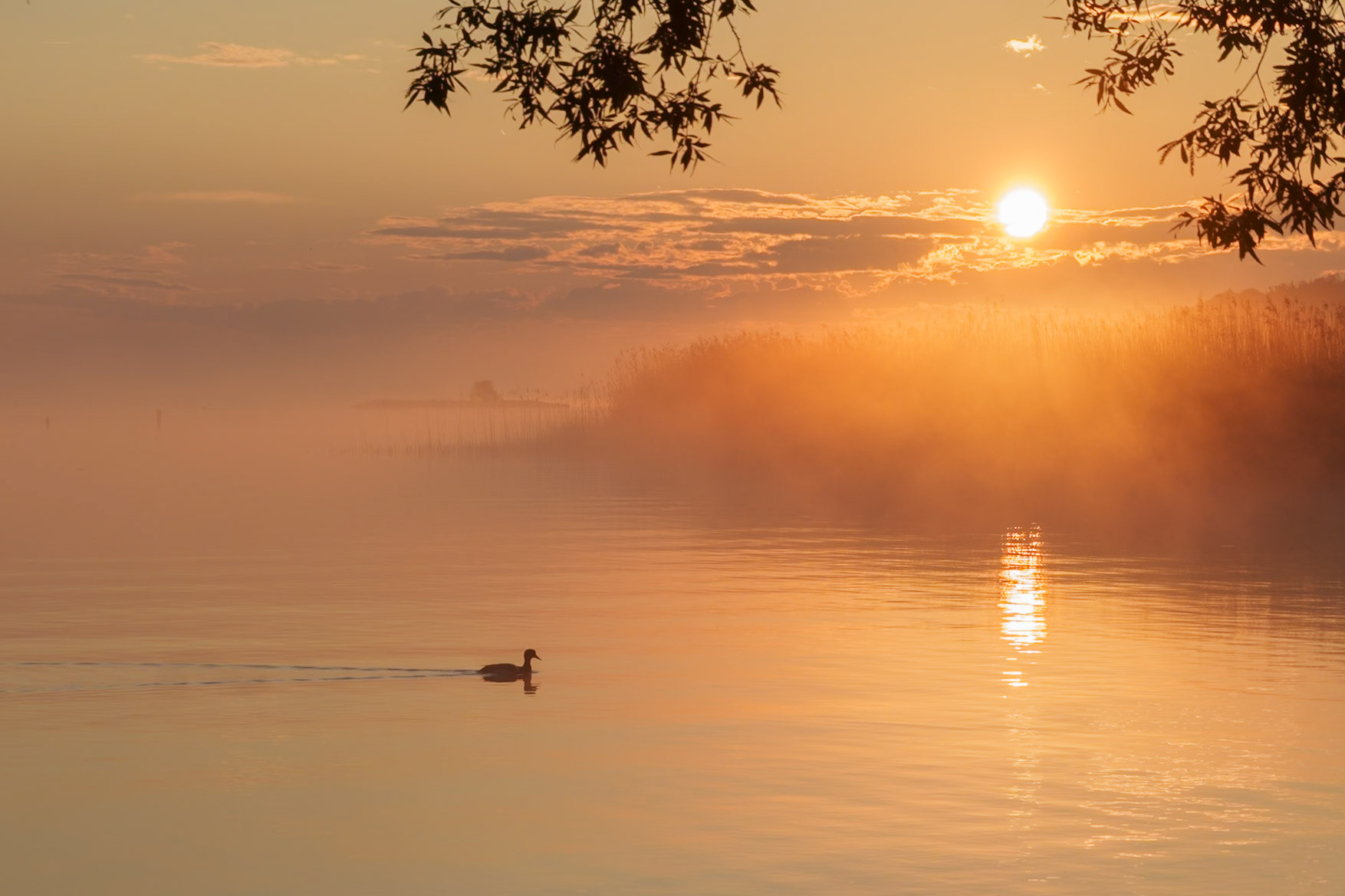 Lever de soleil sur le lac de Neuchâtel