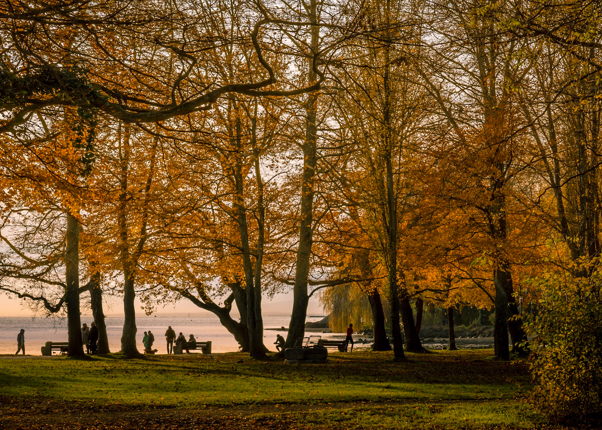 Parc du bourget
