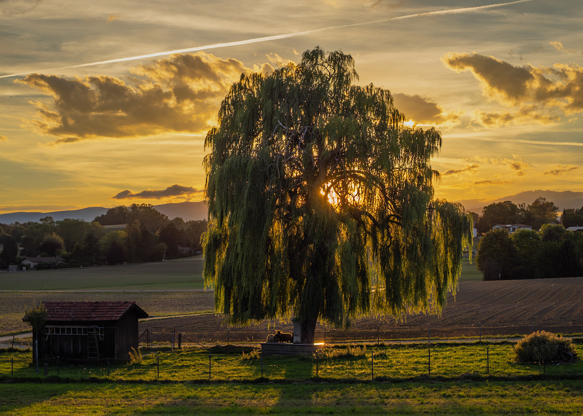Soir d'été
