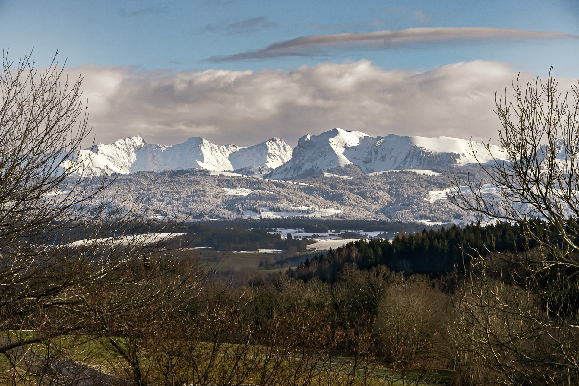 Les Alpes depuis le Jorat