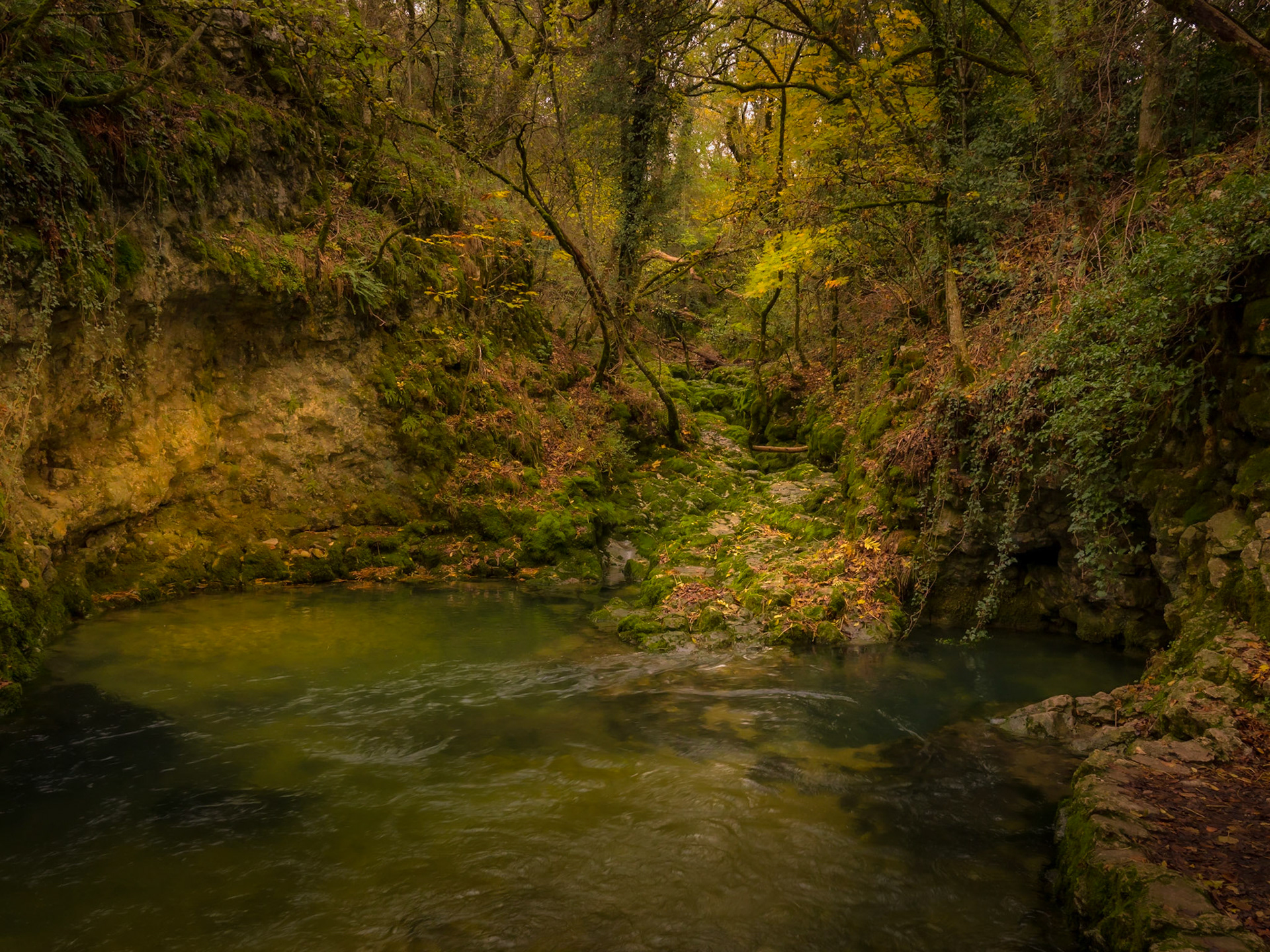 L'une des six sources de la Venoge, la principale avec "Le Puit"