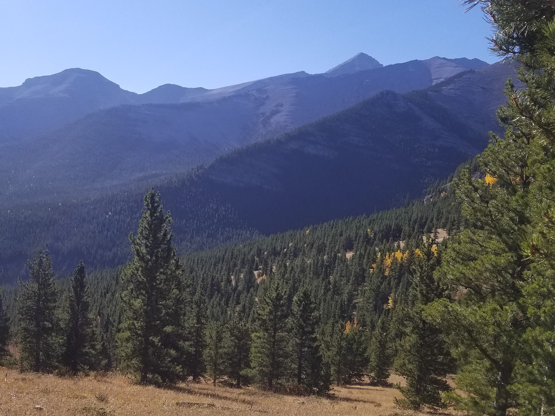 Mountain views