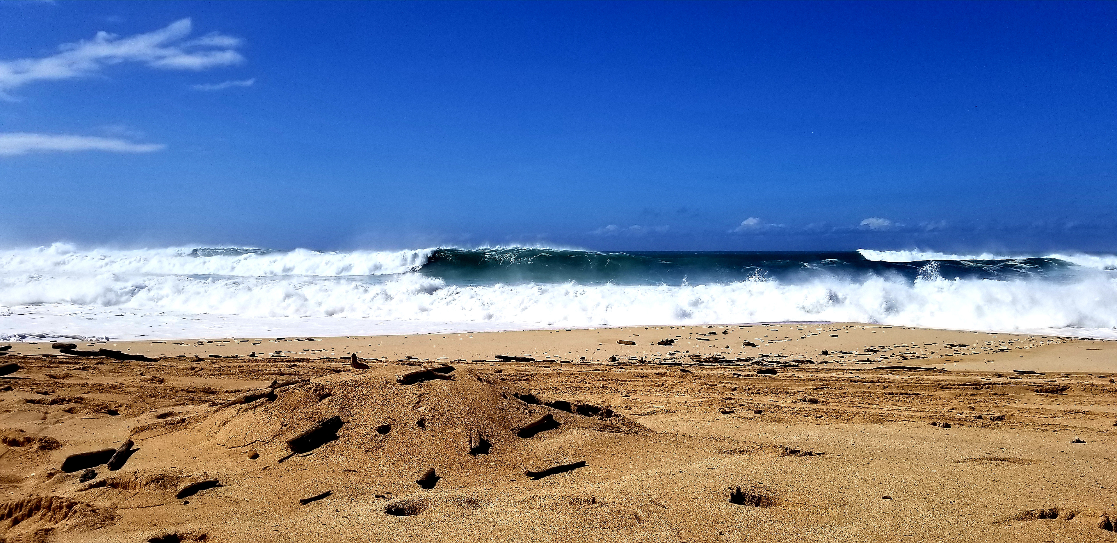 Hawaii surf