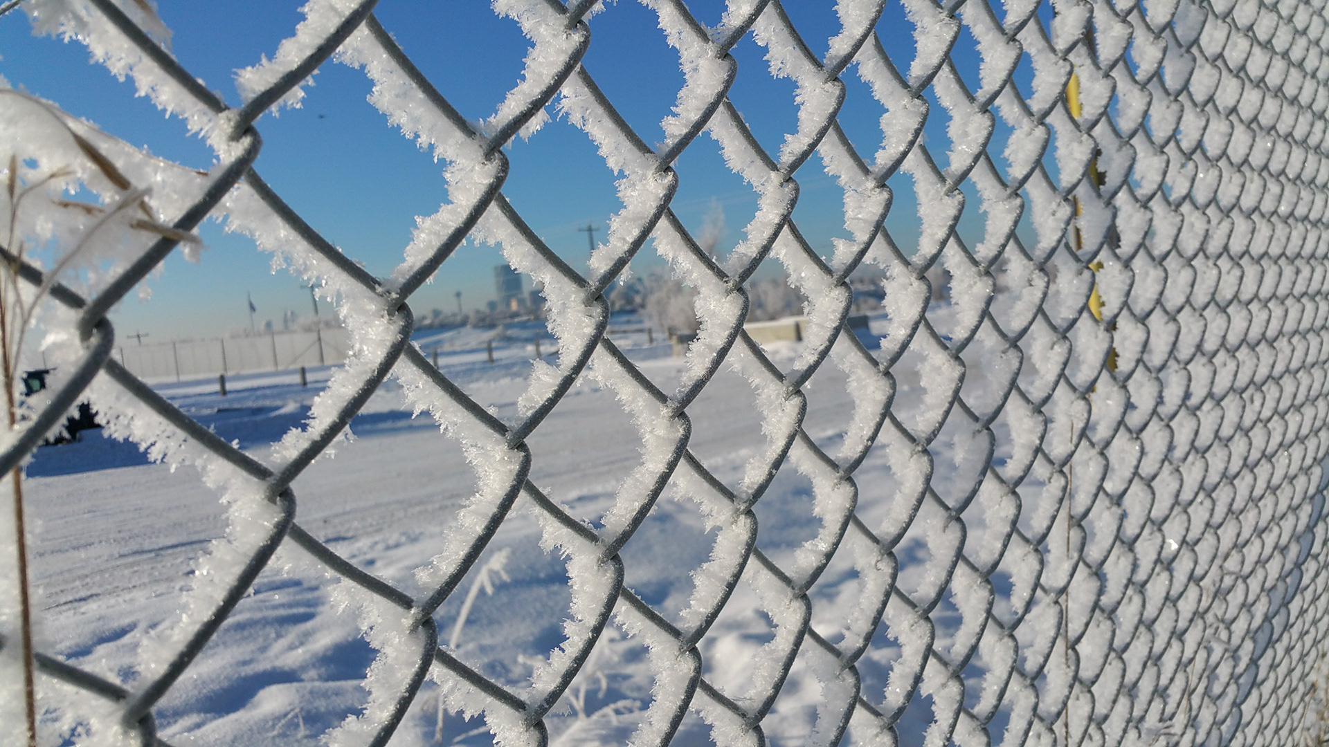 Snow fence
