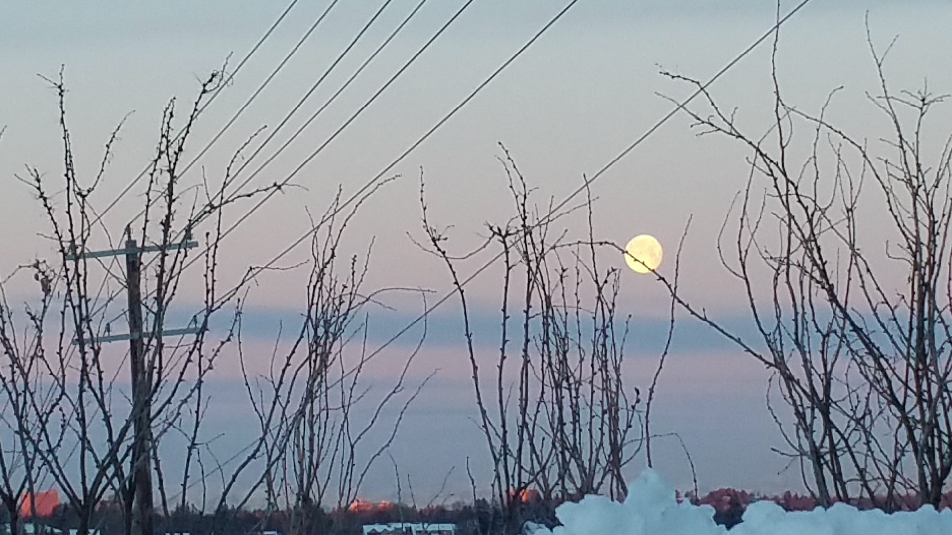 Bad Moon Rising