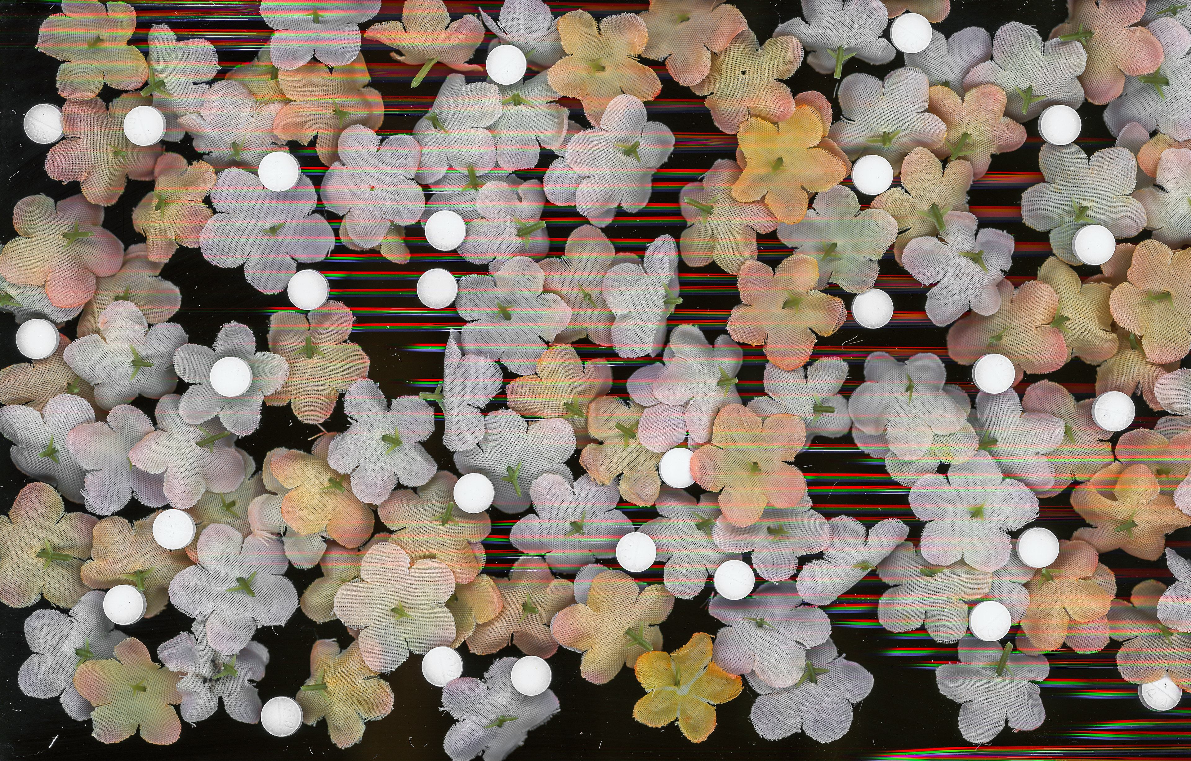Scanner Project - Create a composition unique to the capabilities of a scanner as an image-making device.