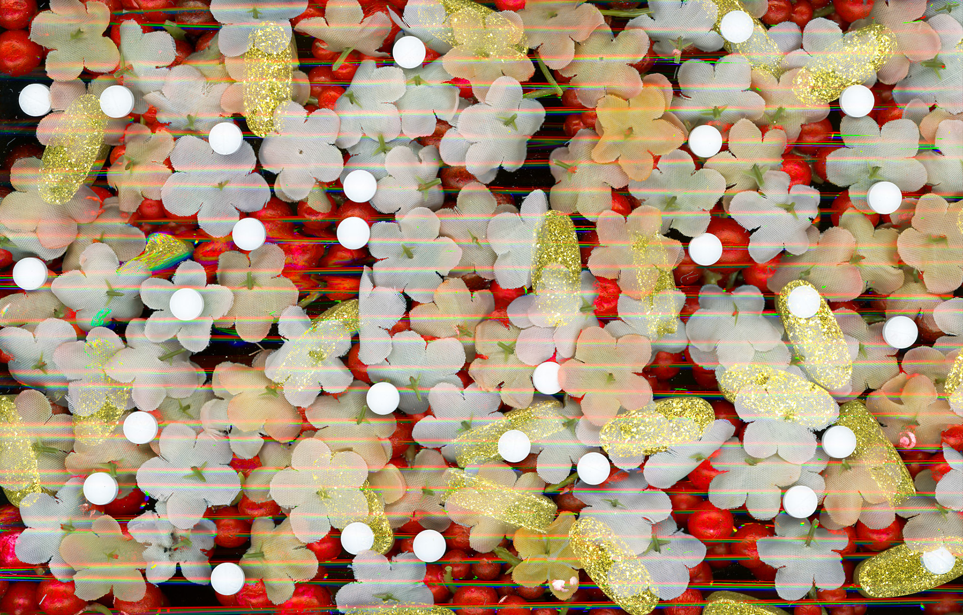 Scanner Project - Create a composition unique to the capabilities of a scanner as an image-making device.
