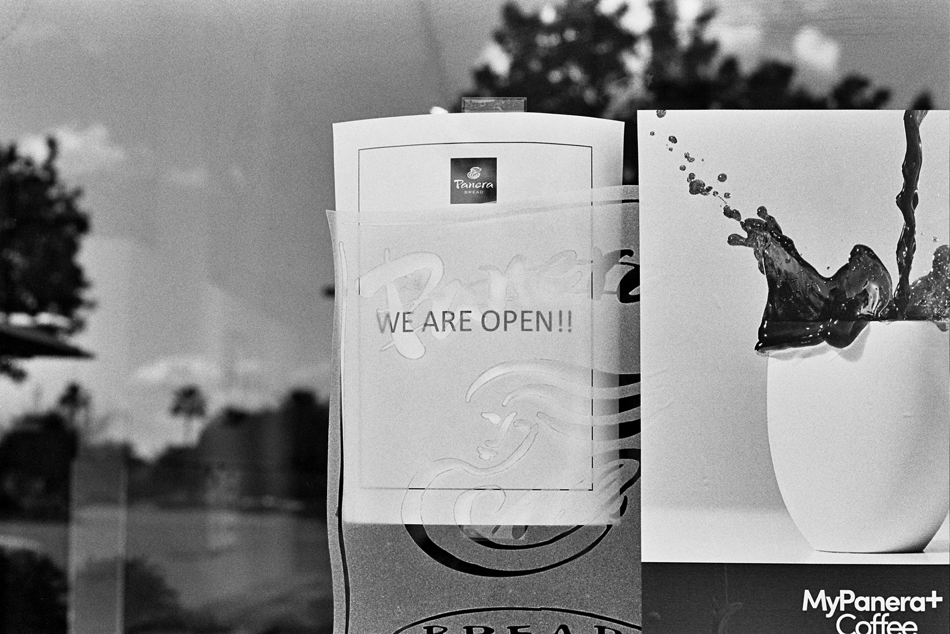 "We Are Open" | Film Photography | 6" x 4"