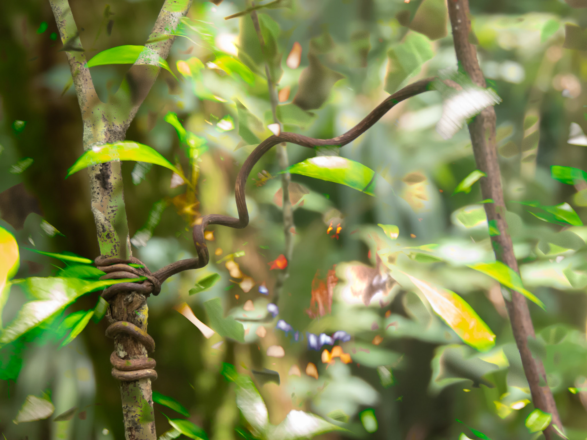 Butterfly + Suspended Twigs