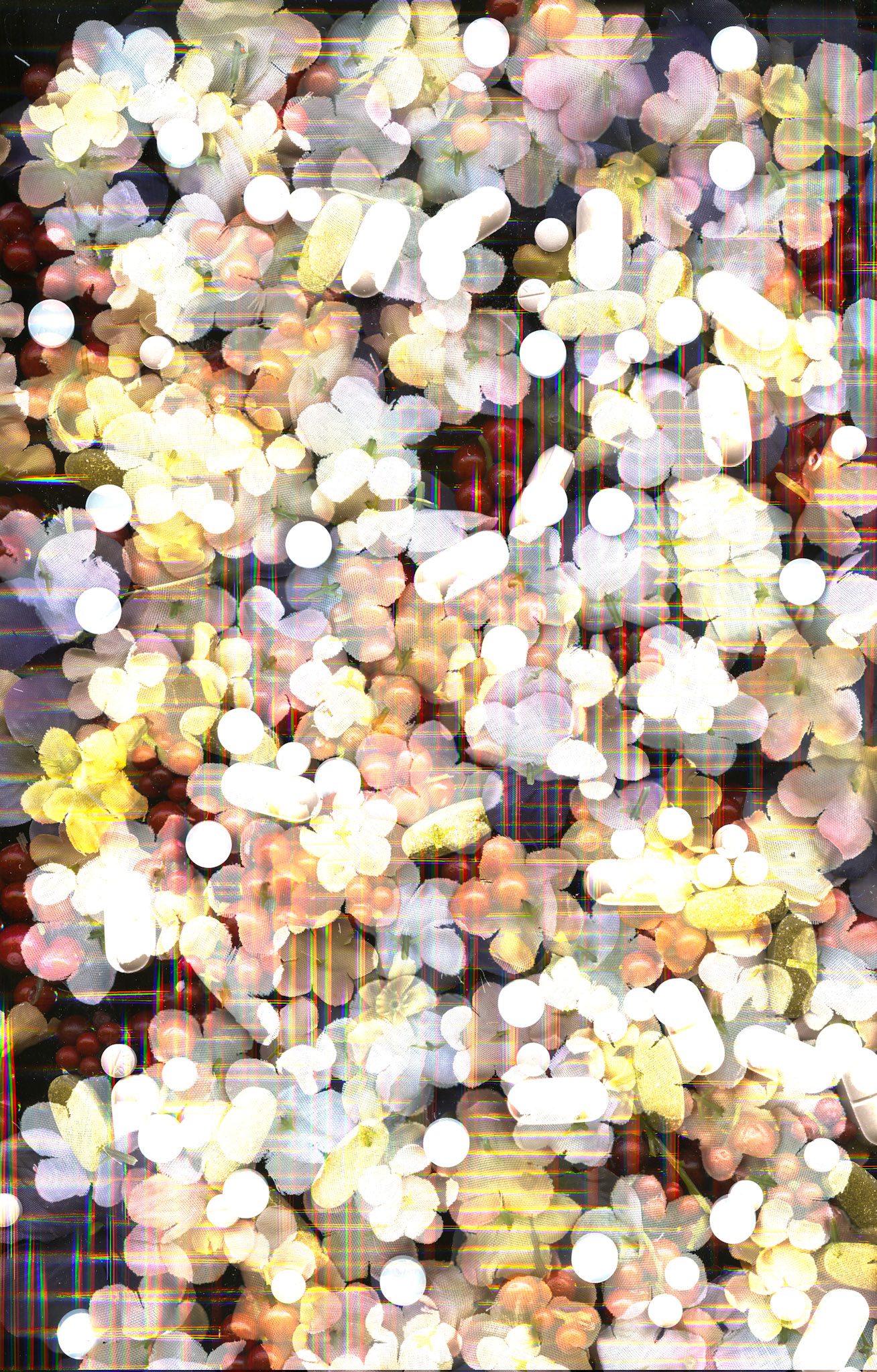 Scanner Project - Create a composition unique to the capabilities of a scanner as an image-making device.