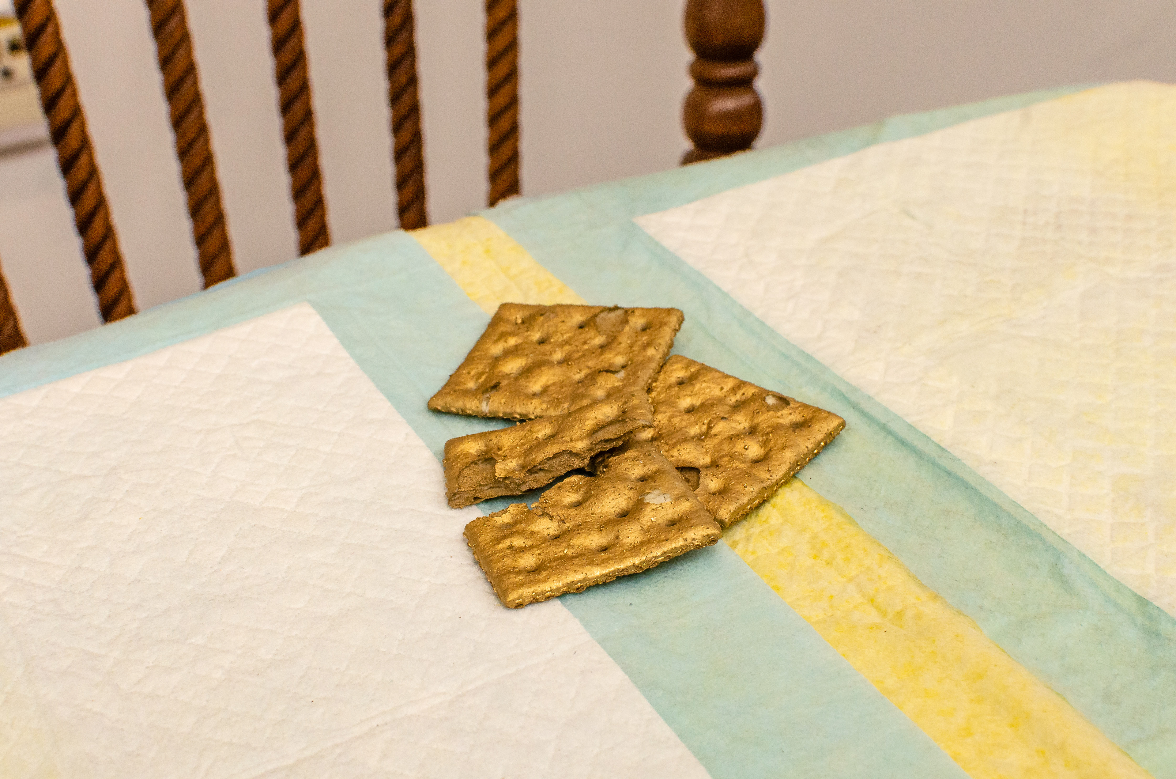 Saltine Crackers, Spray paint