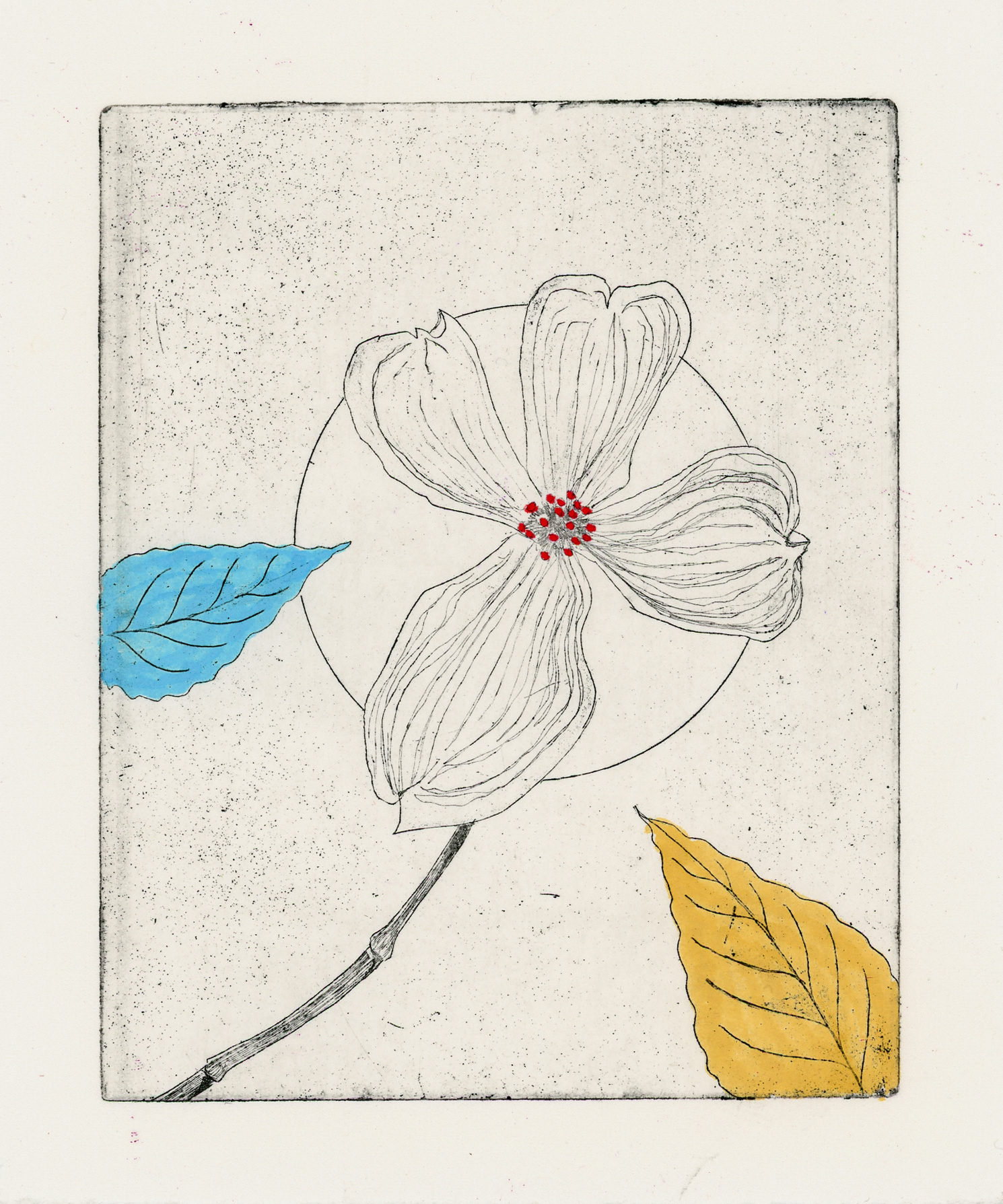 "Primary Memory: Dogwood", Copper Plate Etching and Ink, 5" x 6", 2022