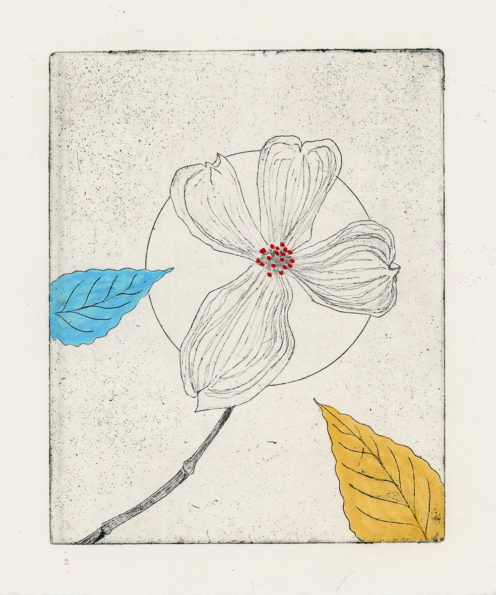 "Primary Memory: Dogwood" | Copper Plate Etching - Hard Ground Linework, Marker | 5" x 6" | 2022