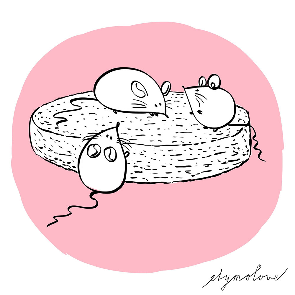 Etymolove, blog illustrations about etymology of Dutch words and phrases