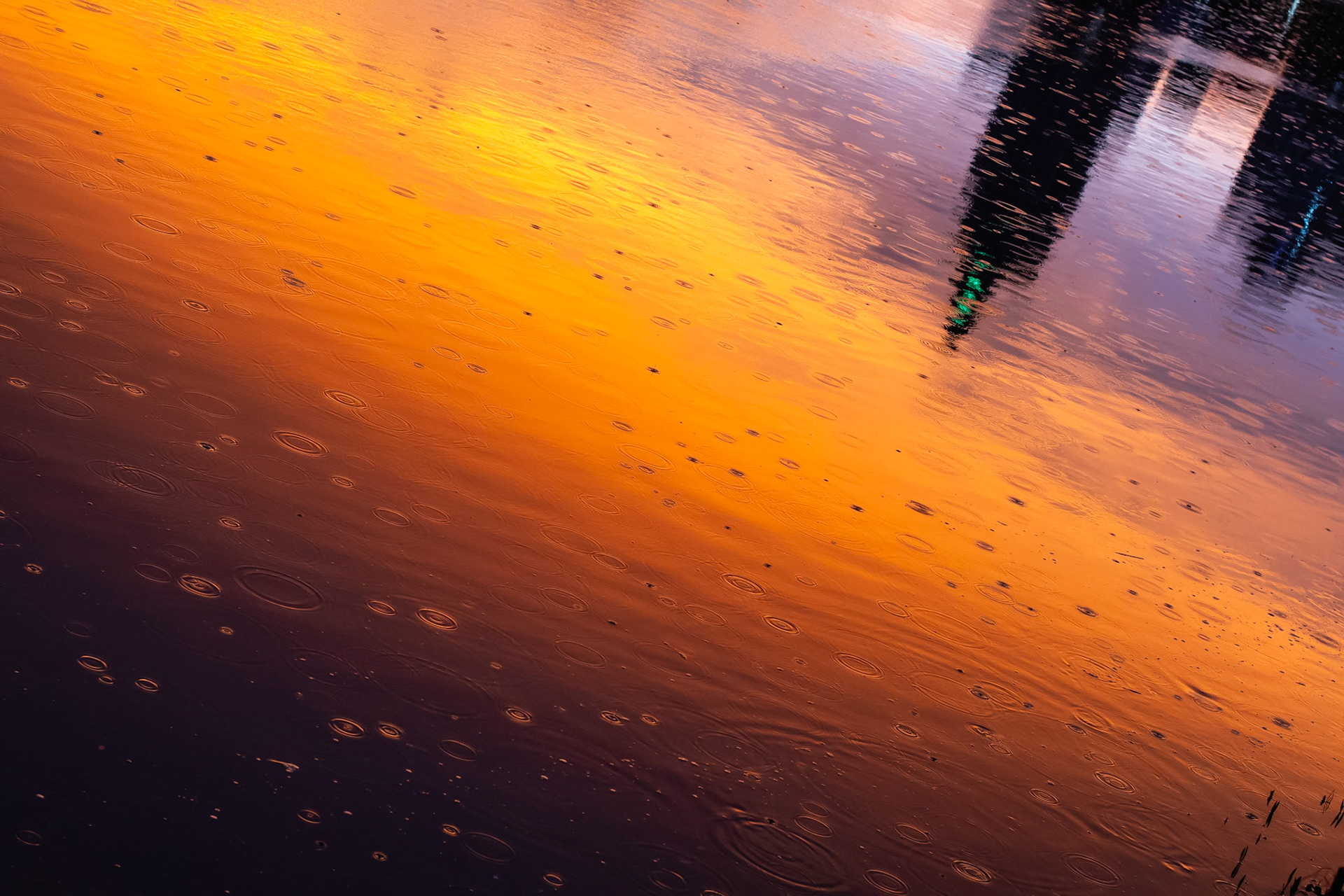 Liquid Sunset