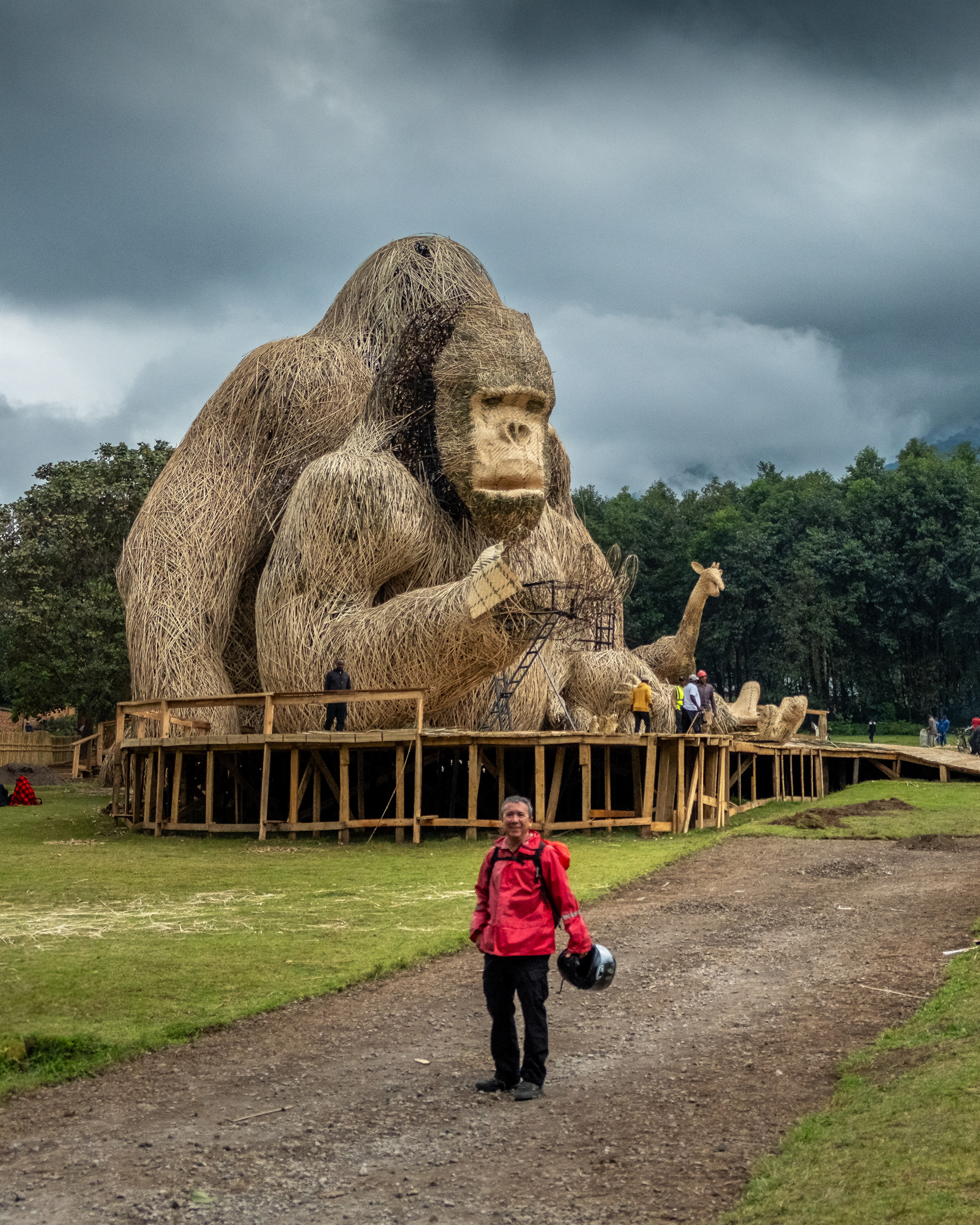 Gorilla tourist show