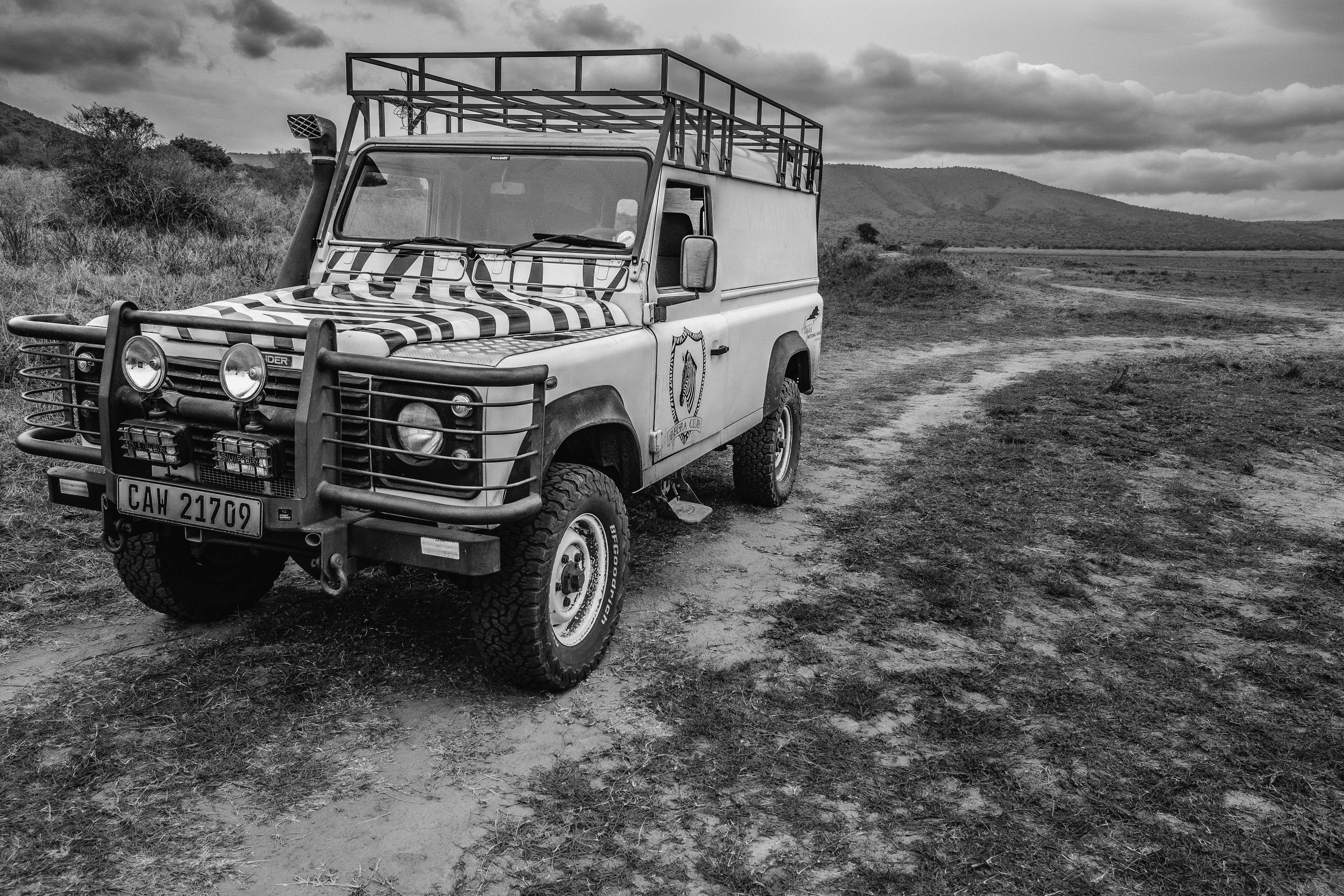 Landrover in zebra stripes