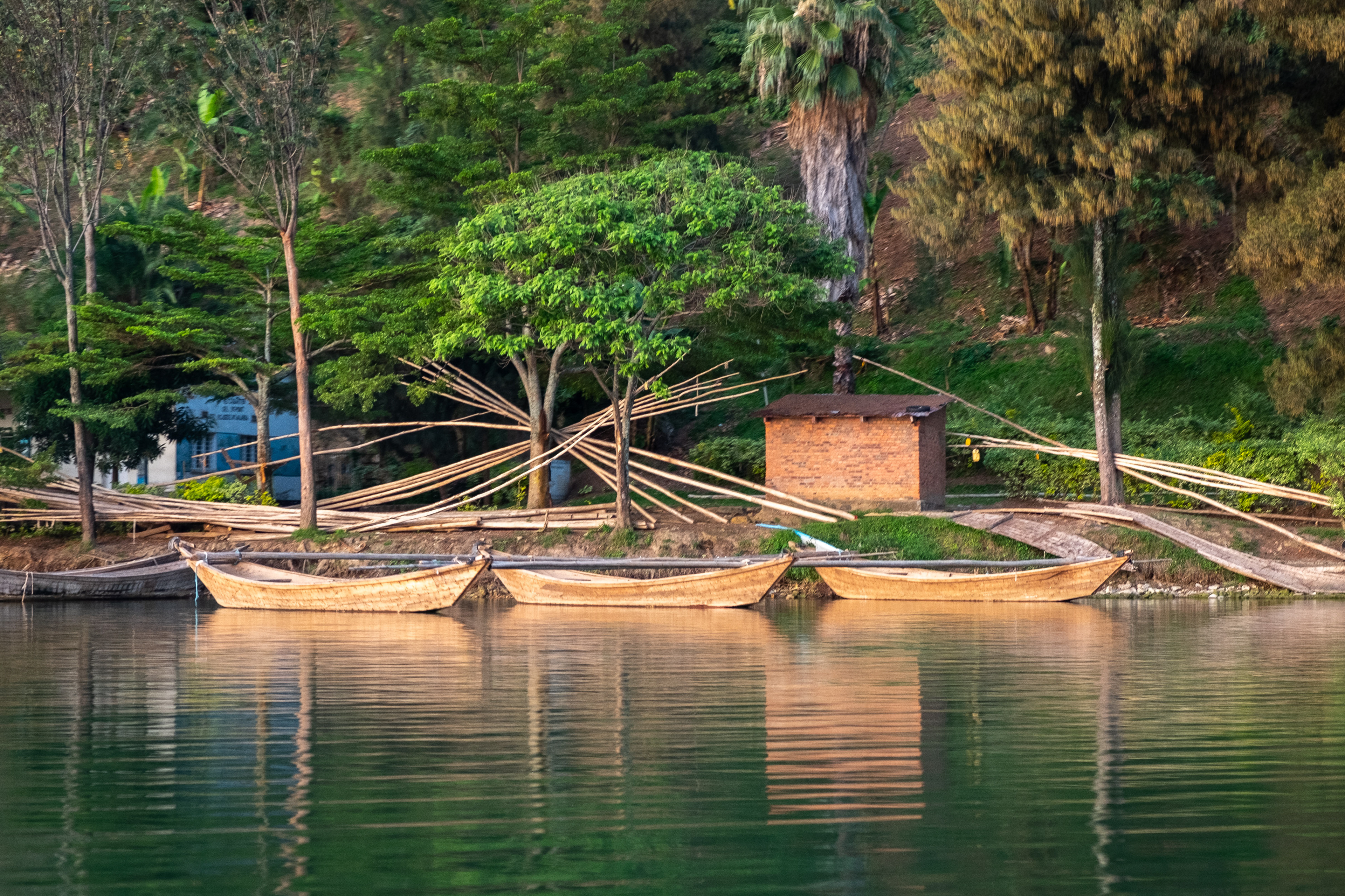 Fishing boats tied up
