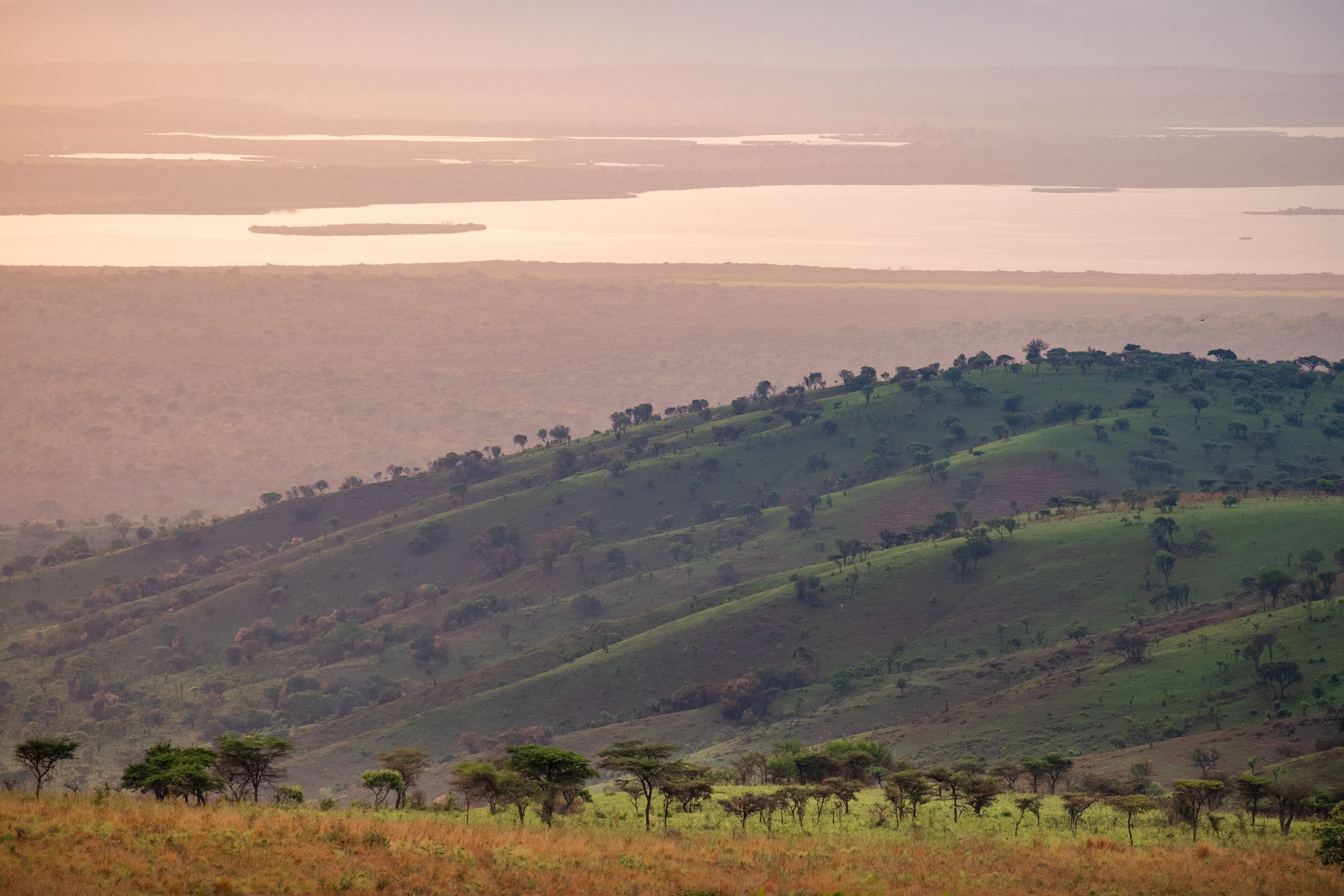 Rolling hills Safari sunset