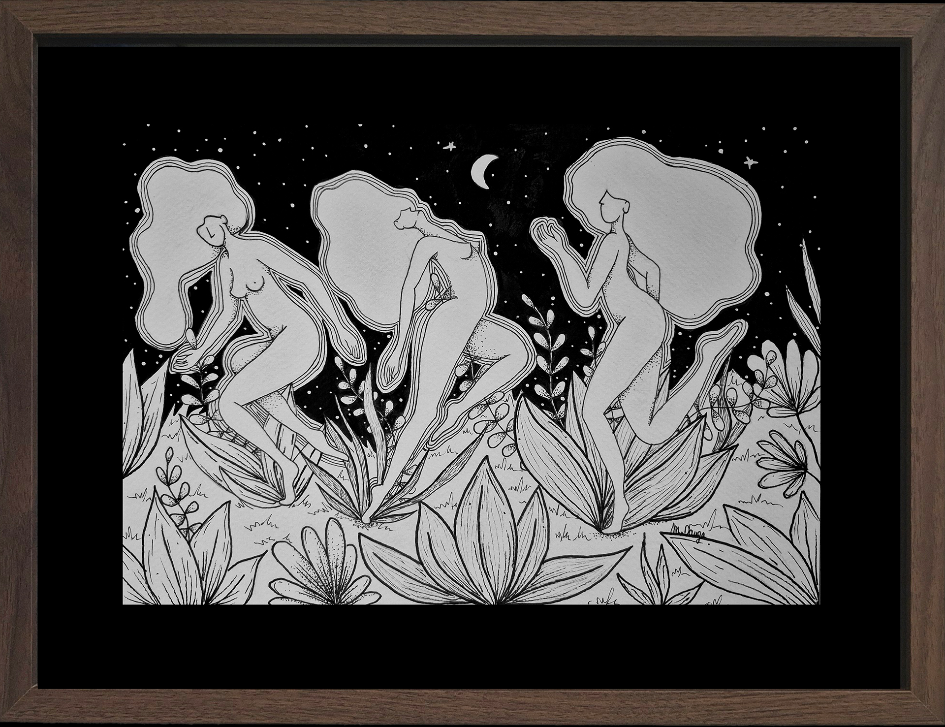 La danse des vénus
