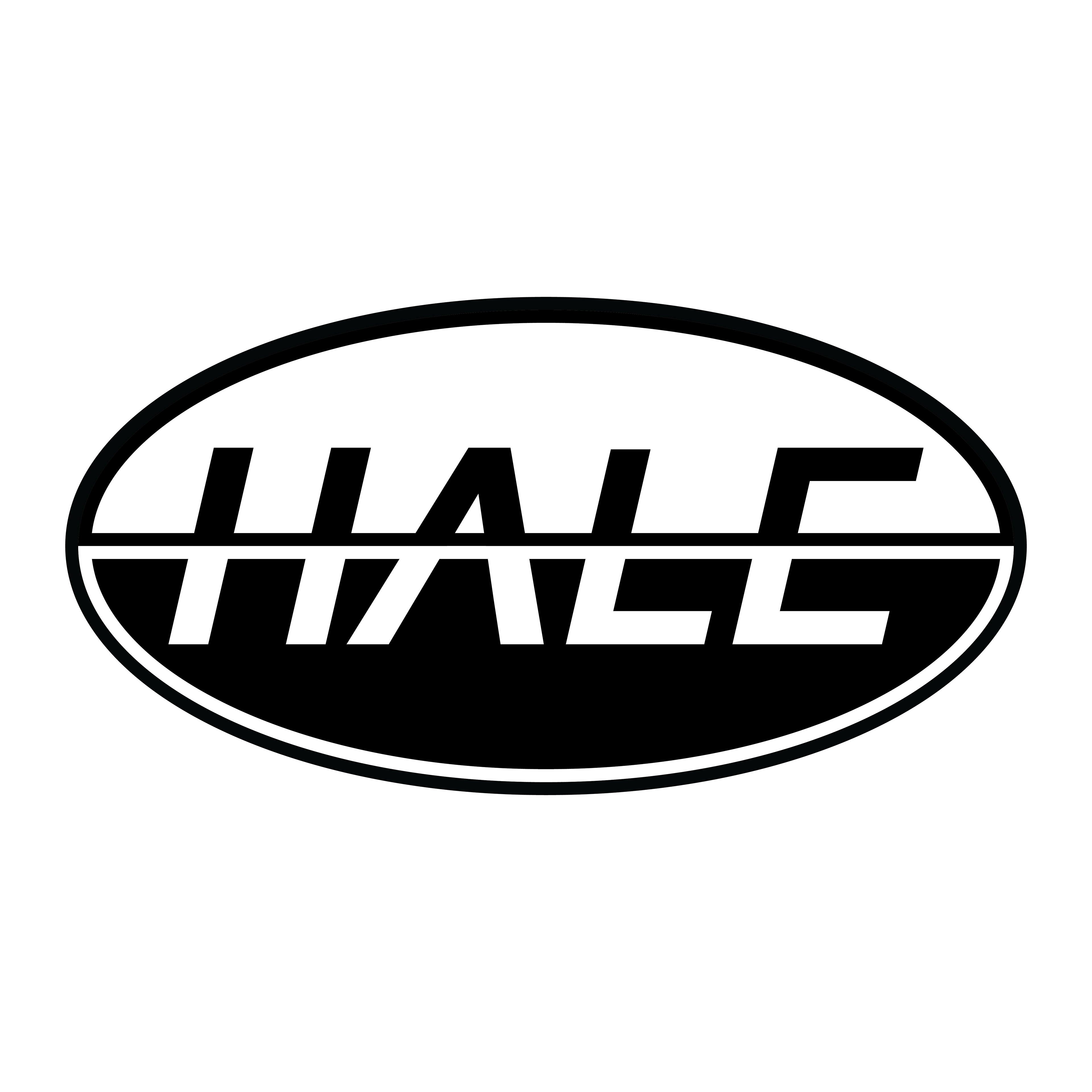 Hale Surfboard Rebrand