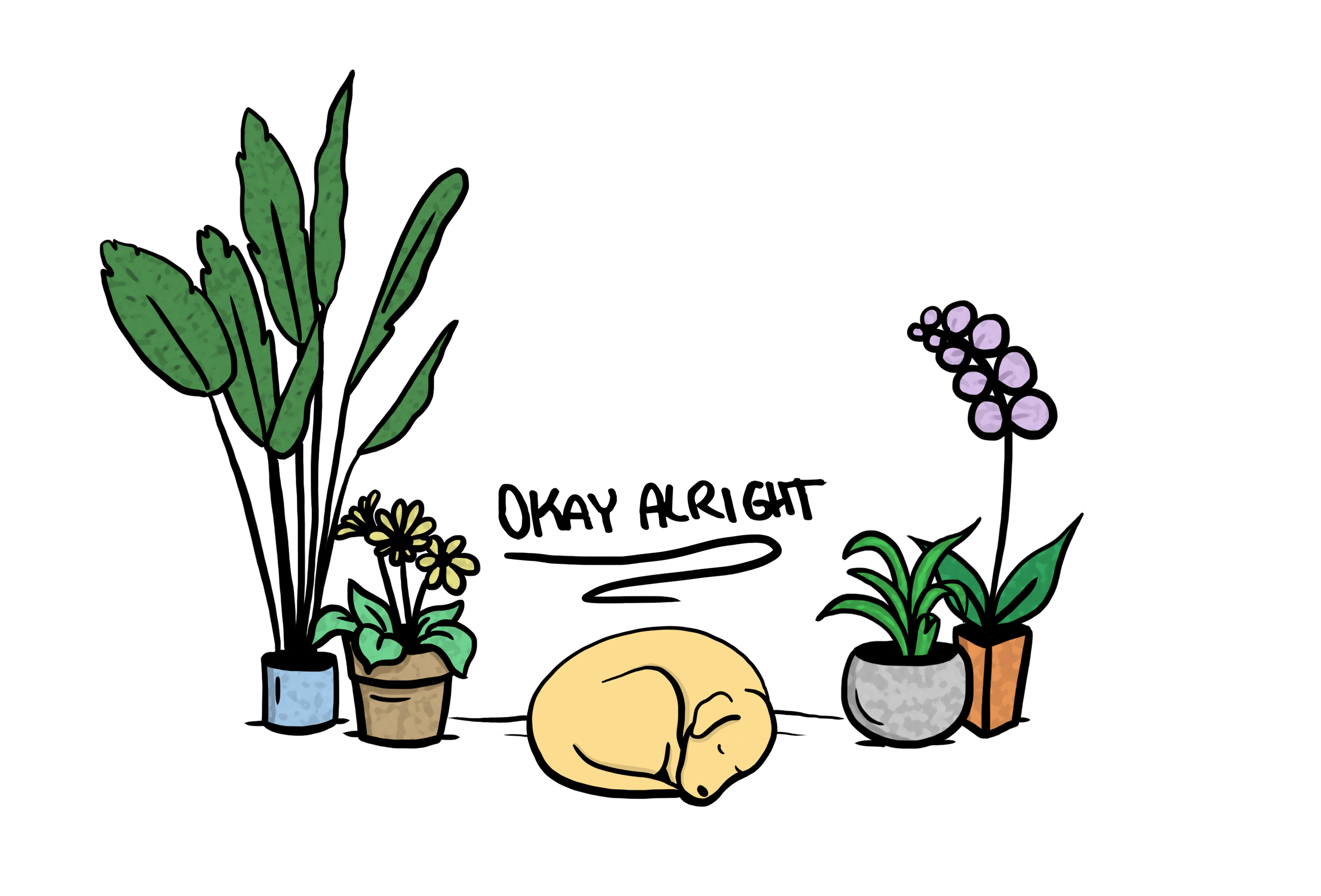Okay Alright Album Sticker 2