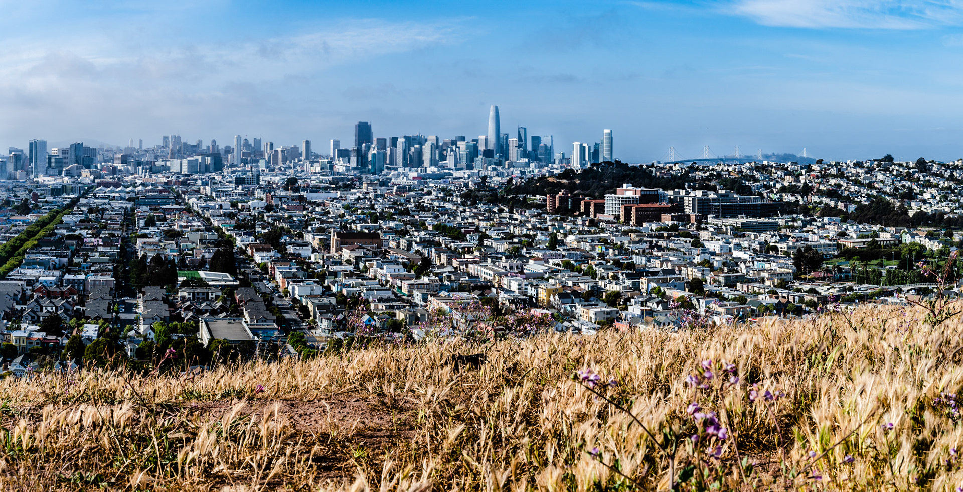 San Francisco View